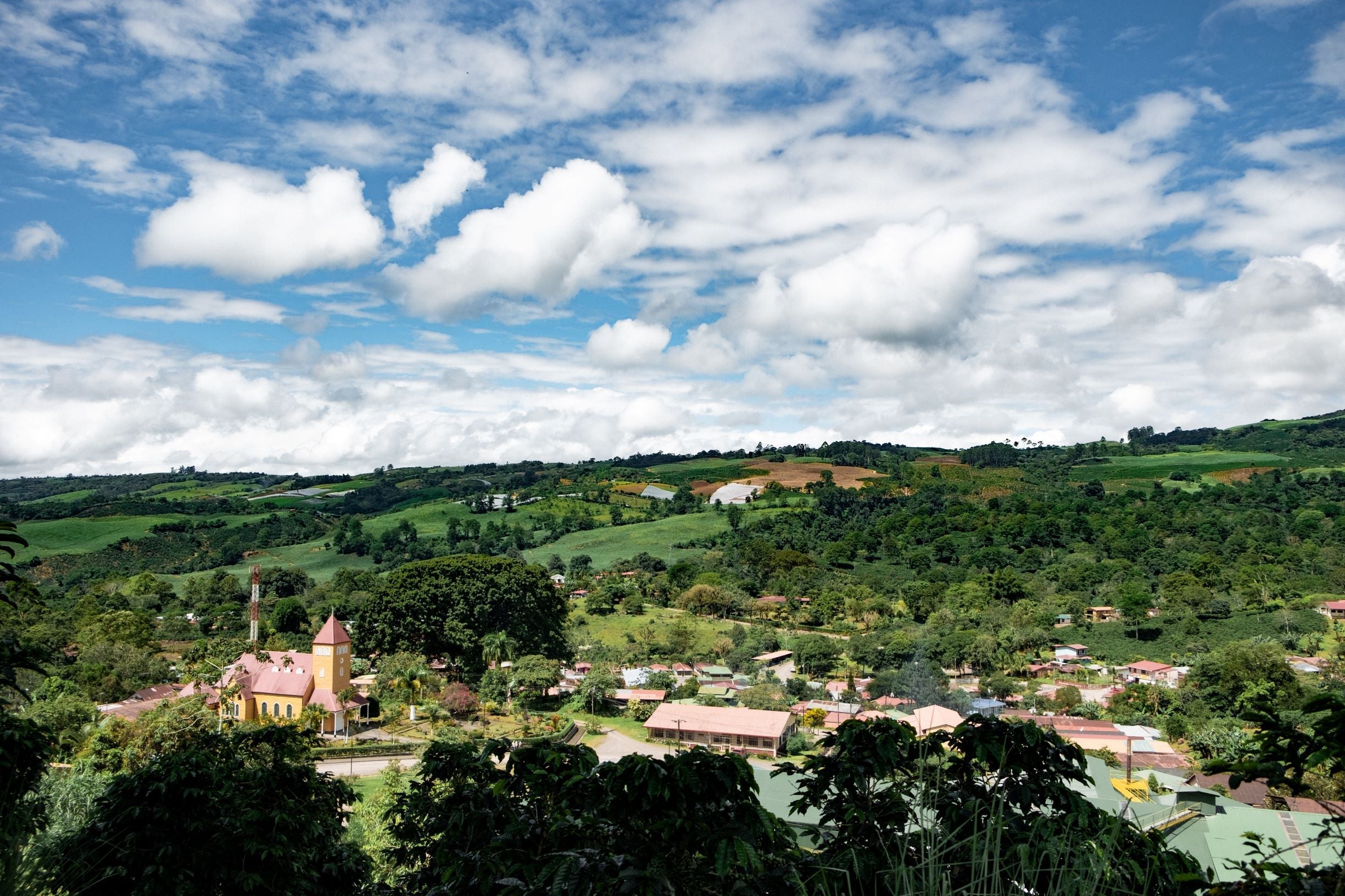 Paso Paso - Farmer Owned Coffee-Corazón Oscuro - Dark Roast Blend-Black-Deal-Outlet-by-ARCHIVIST