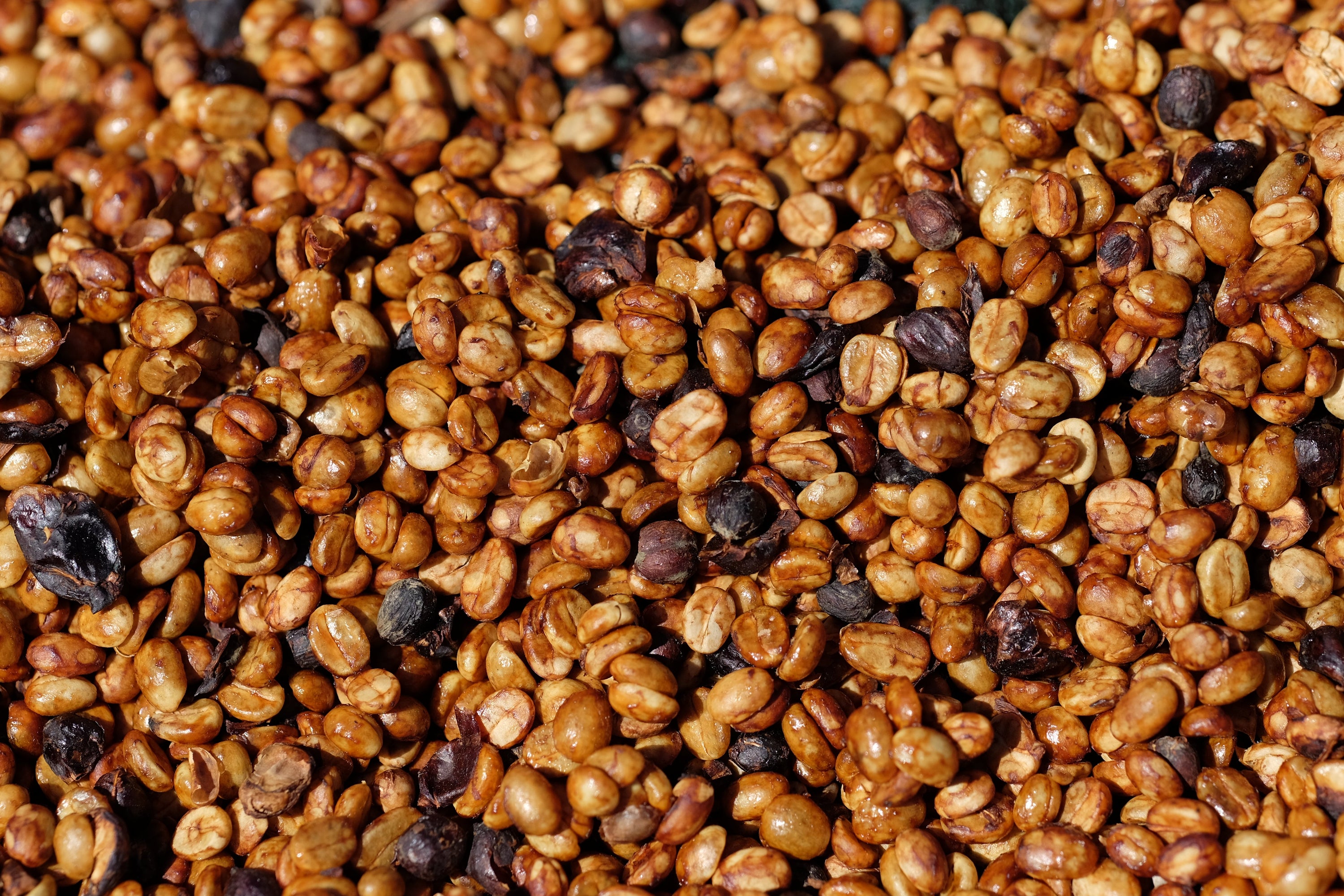 Paso Paso - Farmer Owned Coffee-Corazón Oscuro - Dark Roast Blend-Black-Deal-Outlet-by-ARCHIVIST