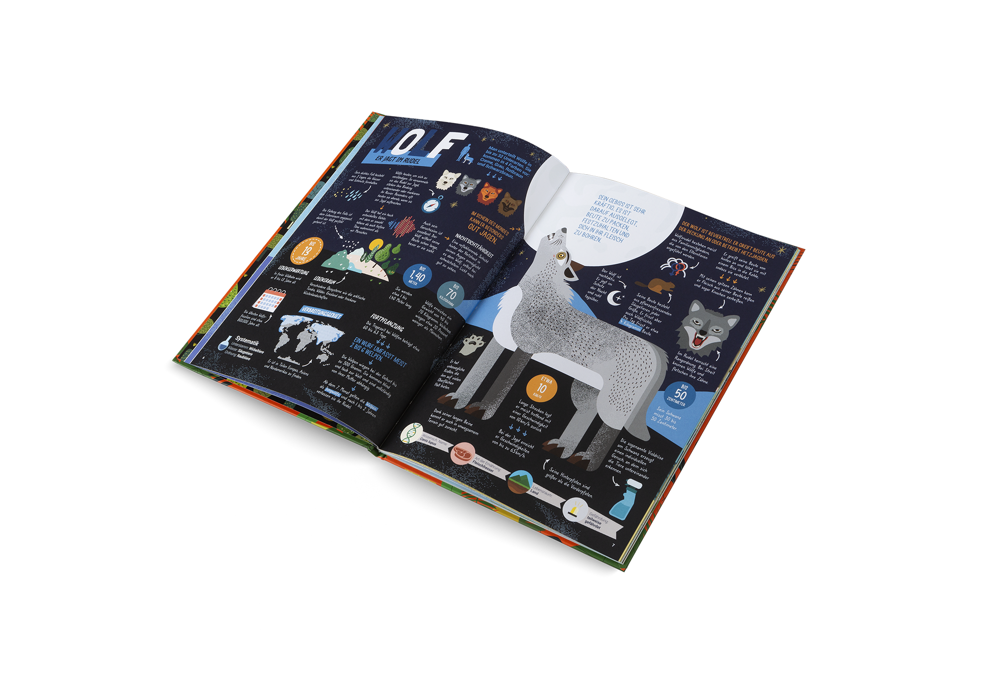 Gestalten Eu Shop-Die Jäger des Tierreichs-Book-Black-Deal-Outlet-by-ARCHIVIST