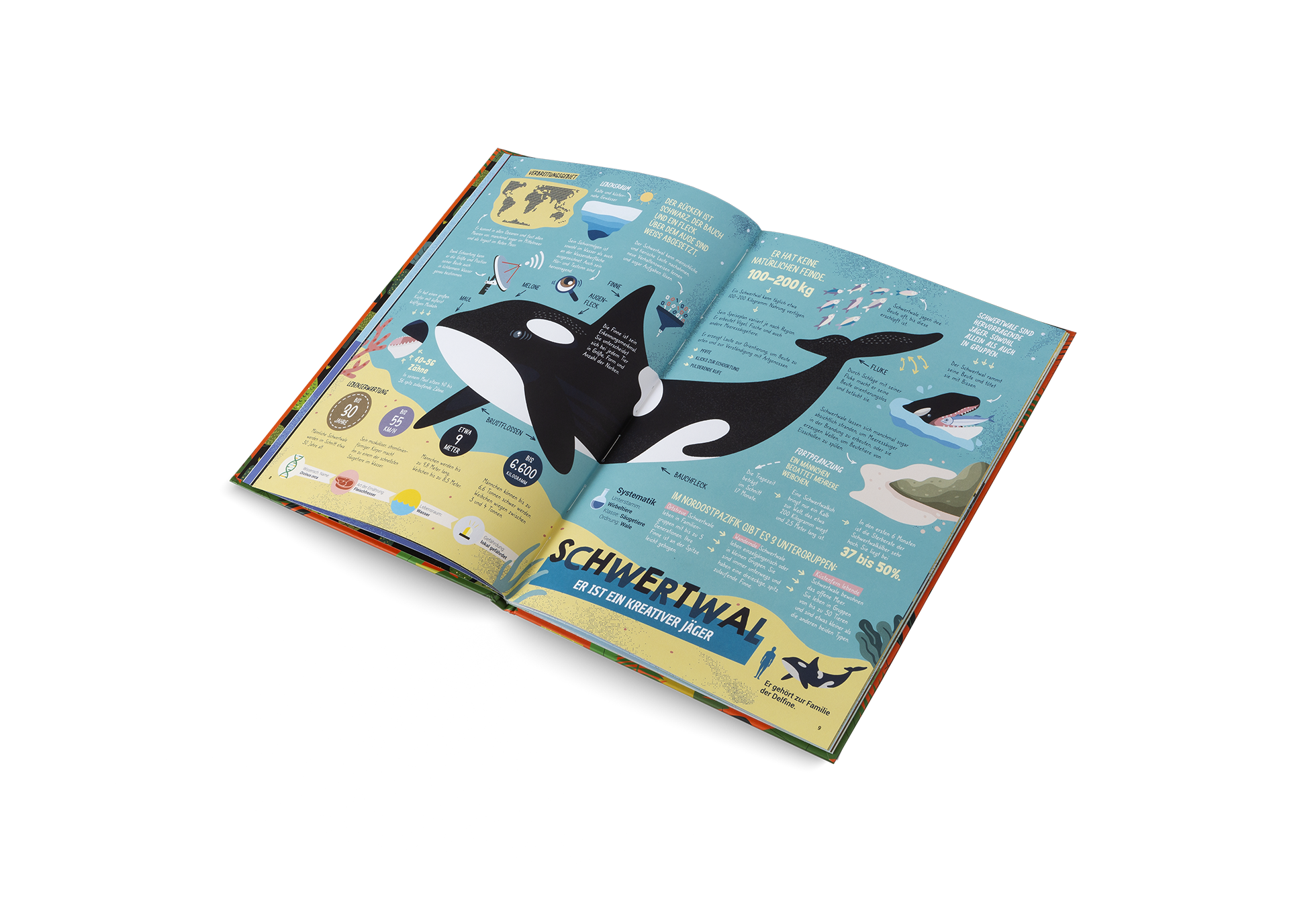 Gestalten Eu Shop-Die Jäger des Tierreichs-Book-Black-Deal-Outlet-by-ARCHIVIST