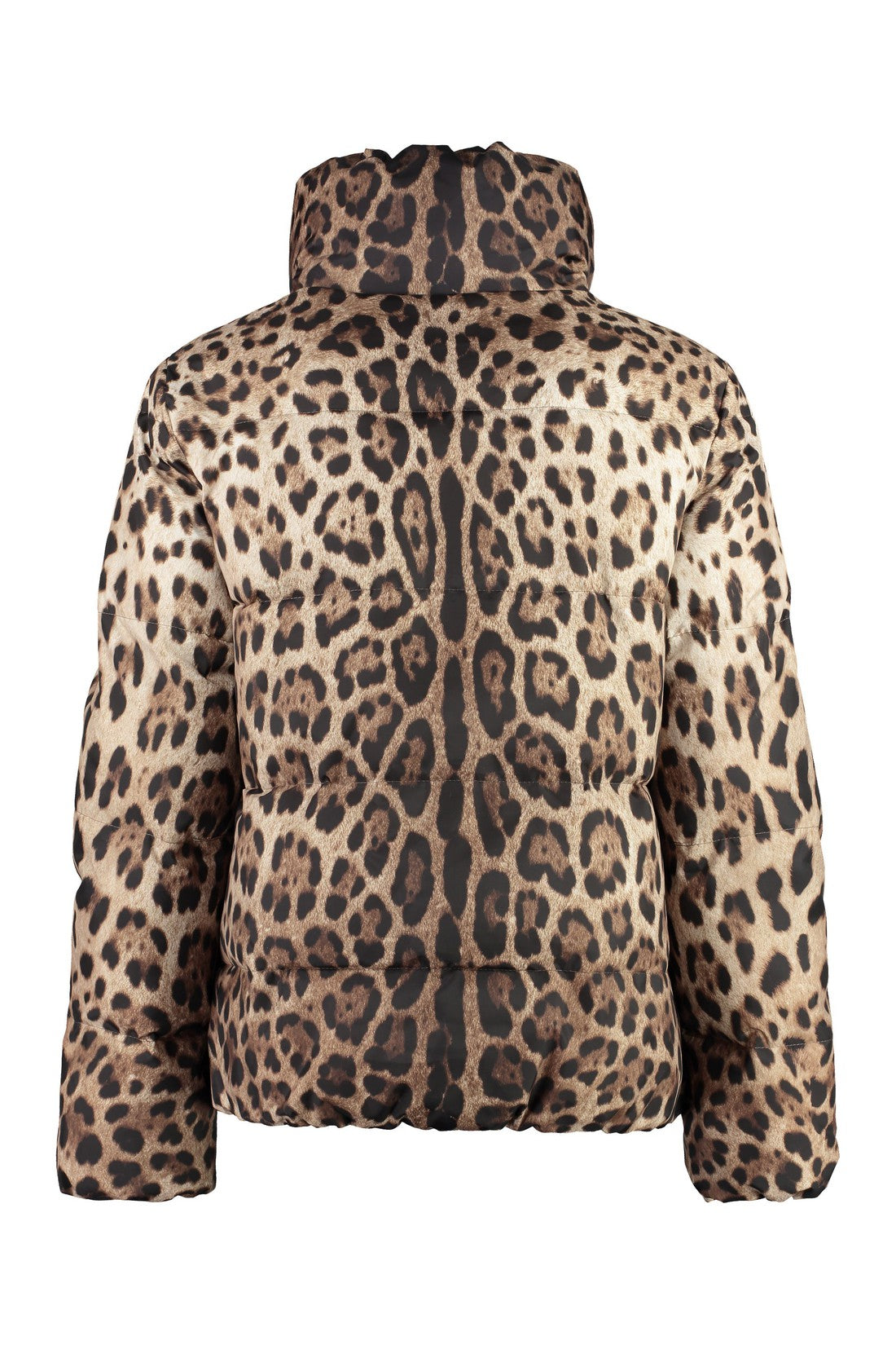 Dolce & Gabbana-OUTLET-SALE-Leopard print short down jacket-ARCHIVIST