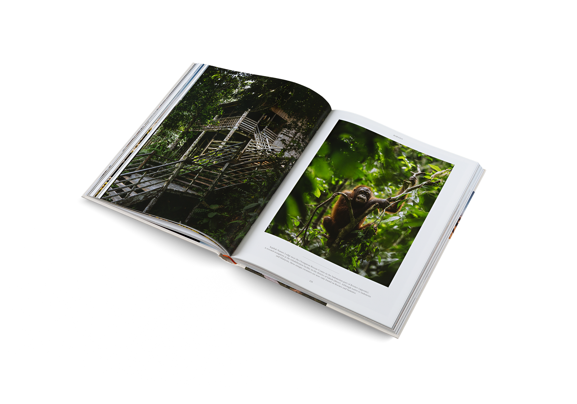 Gestalten Eu Shop-Life on the Road-Book-Black-Deal-Outlet-by-ARCHIVIST