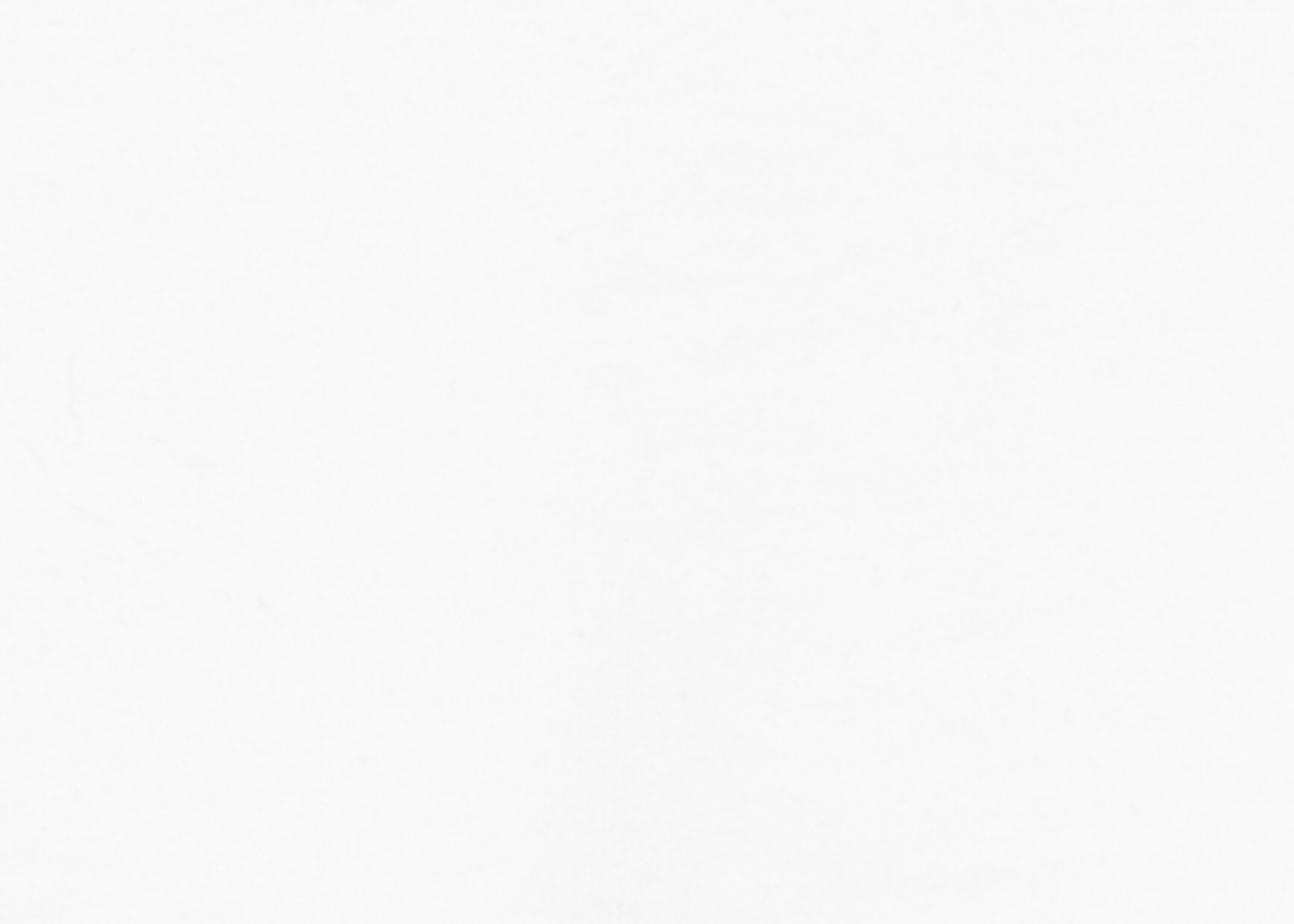 T-Shirt mit Print-Motiv