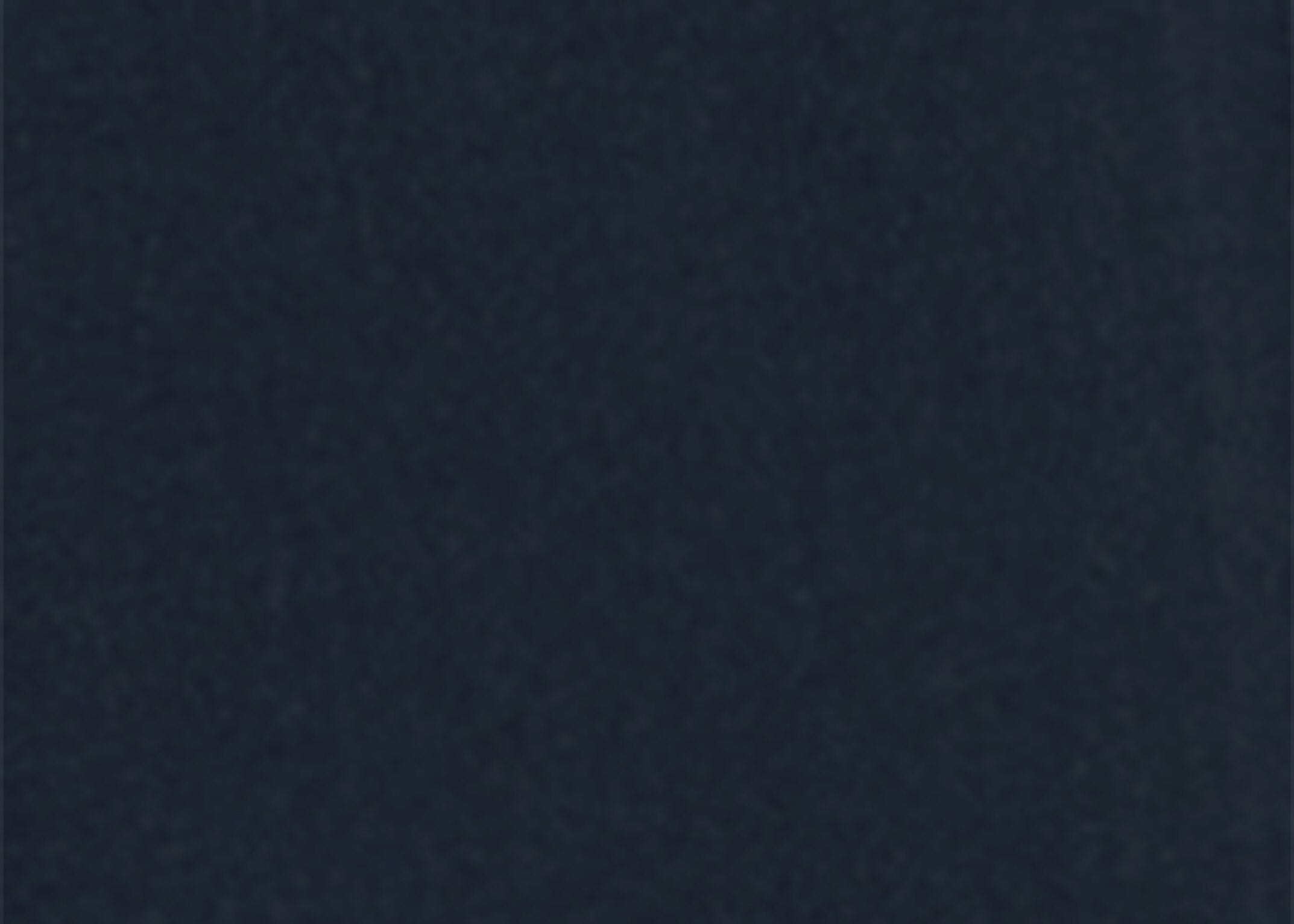 Cargo pants with pleats