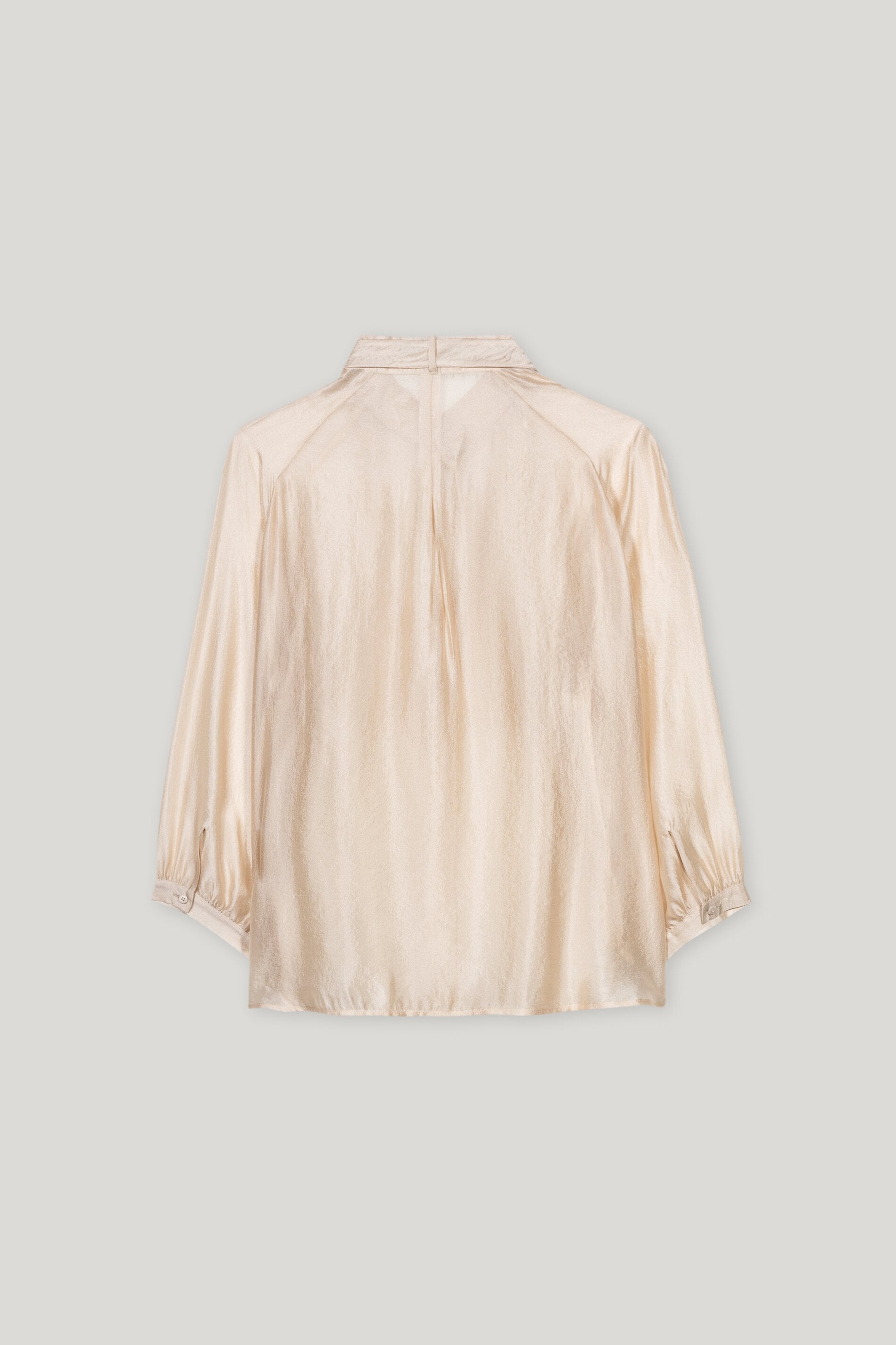 Transparente Schluppenbluse