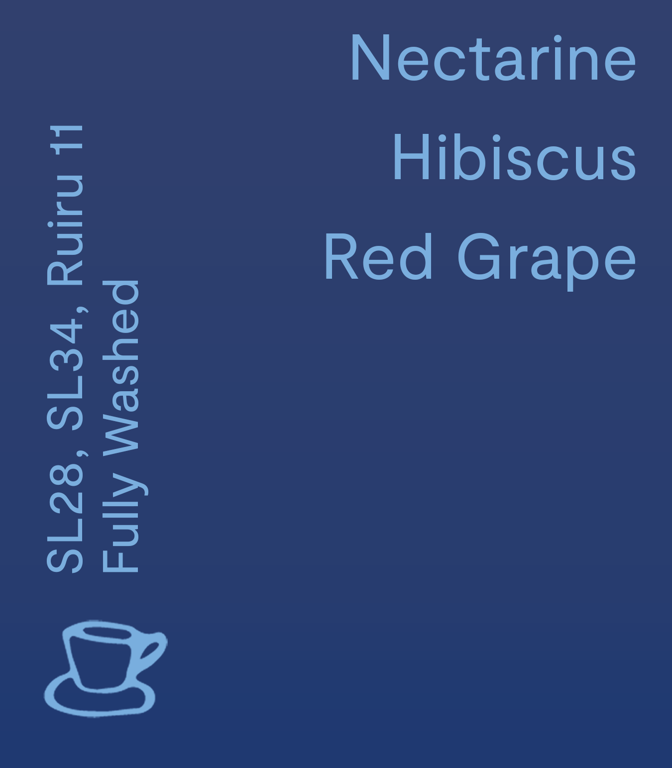 Father Carpenter-Mutheru AA, Kenya - Filter-Coffee Beans-Black-Deal-Outlet-by-ARCHIVIST