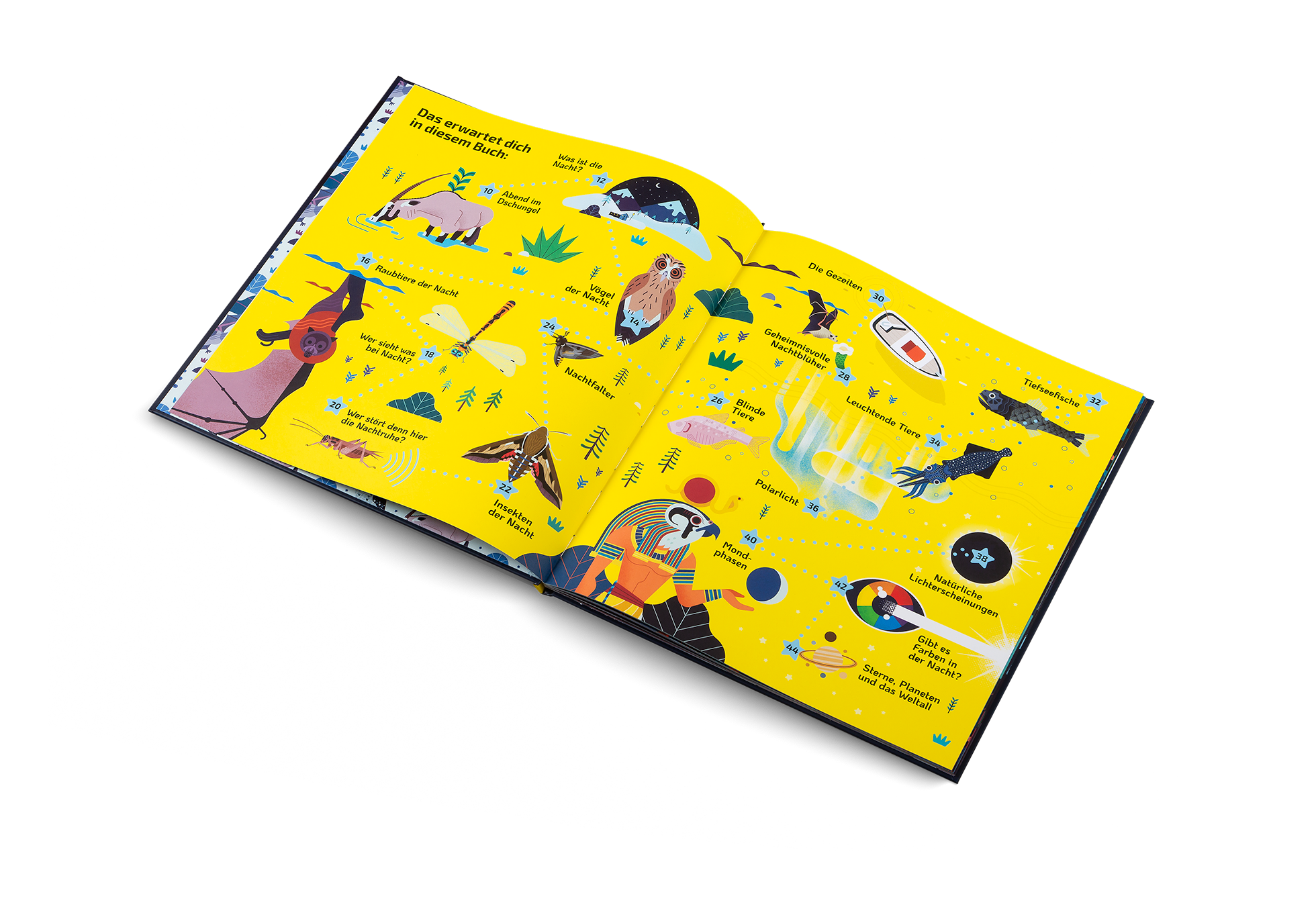 Gestalten Eu Shop-Nachtaktiv-Book-Black-Deal-Outlet-by-ARCHIVIST