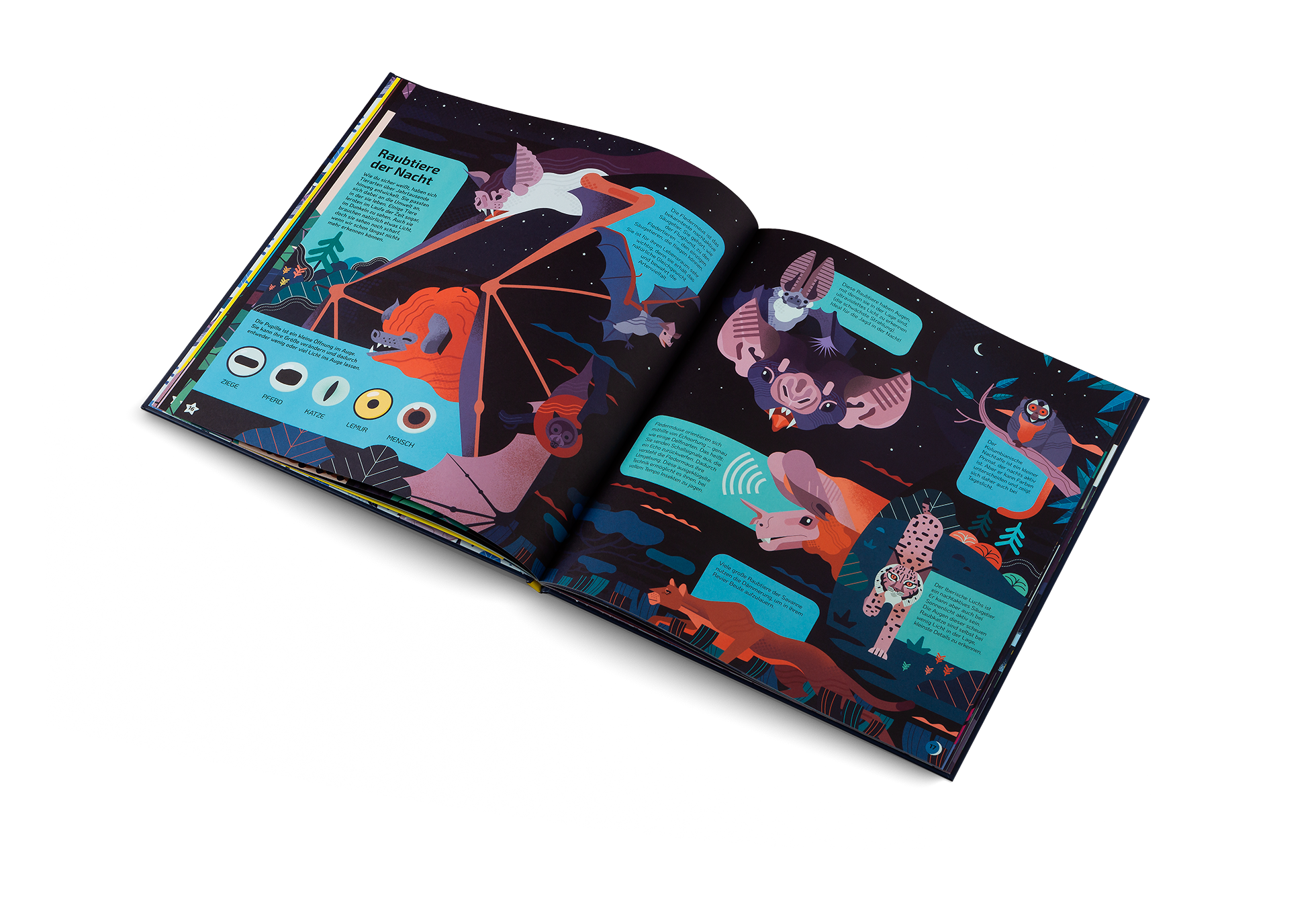 Gestalten Eu Shop-Nachtaktiv-Book-Black-Deal-Outlet-by-ARCHIVIST