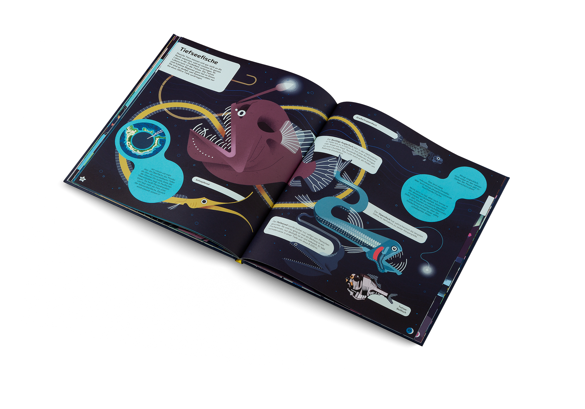 Gestalten Eu Shop-Nachtaktiv-Book-Black-Deal-Outlet-by-ARCHIVIST