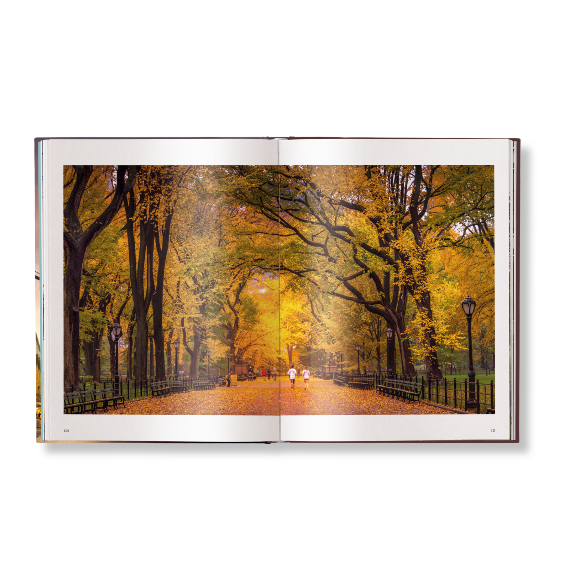 Gestalten Eu Shop-New York-Book-Black-Deal-Outlet-by-ARCHIVIST