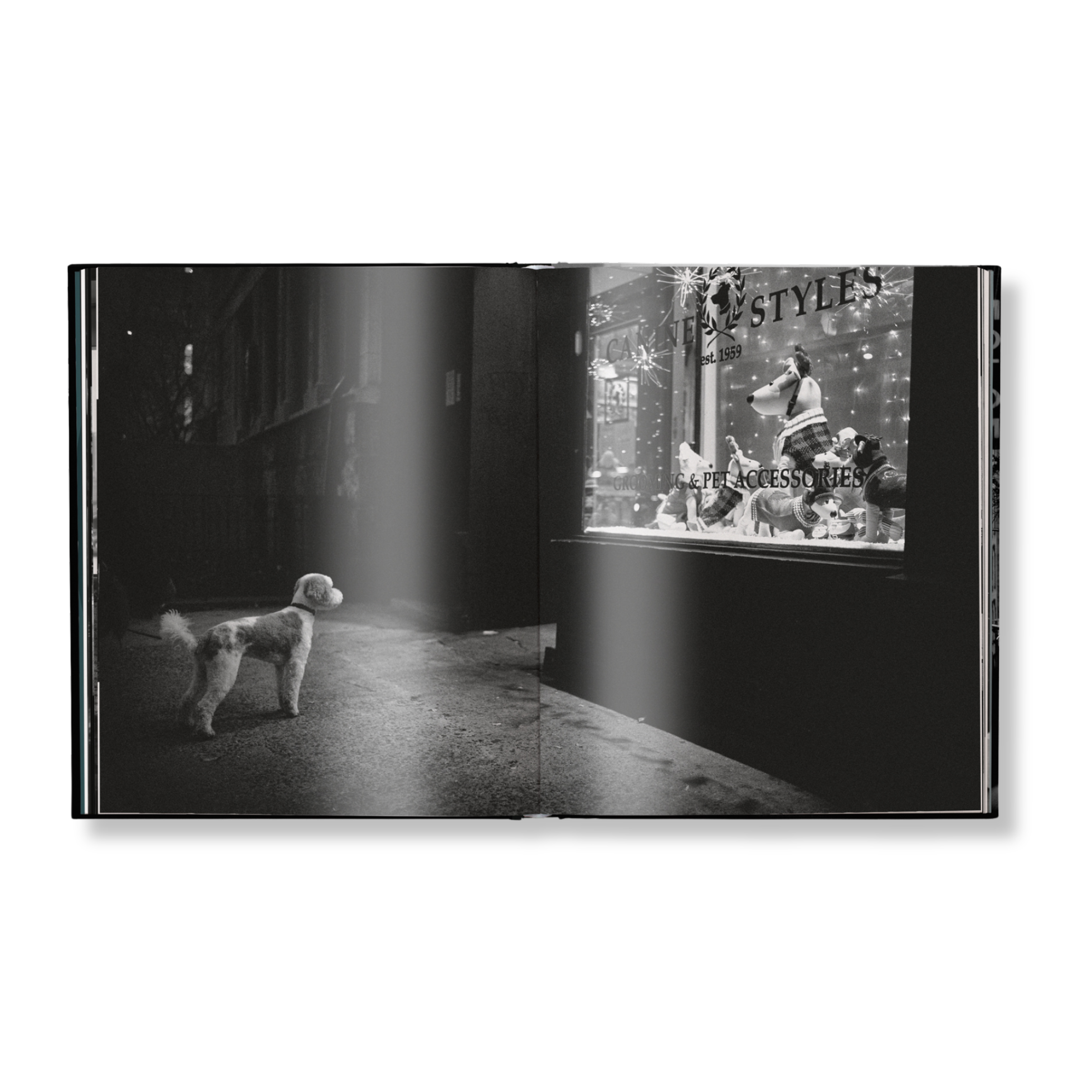 Gestalten Eu Shop-New York Street Diaries-Book-Black-Deal-Outlet-by-ARCHIVIST