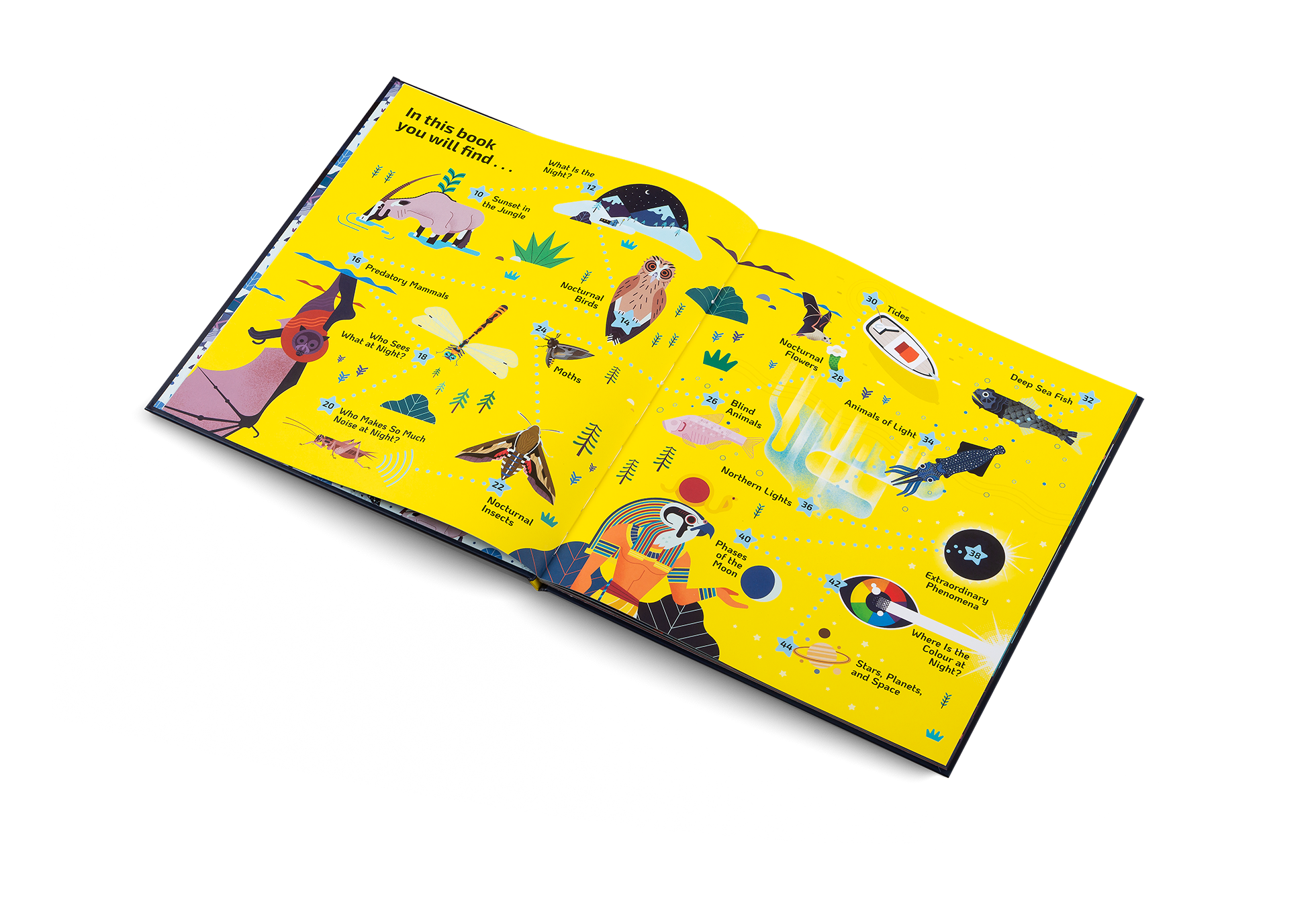 Gestalten Eu Shop-Nocturnal-Book-Black-Deal-Outlet-by-ARCHIVIST