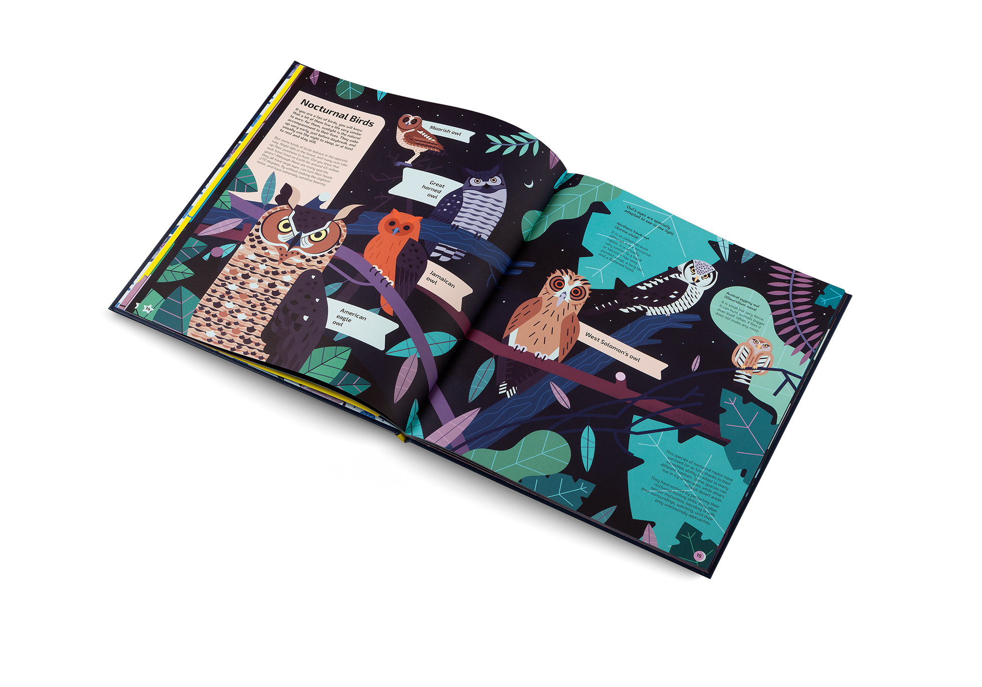 Gestalten Eu Shop-Nocturnal-Book-Black-Deal-Outlet-by-ARCHIVIST