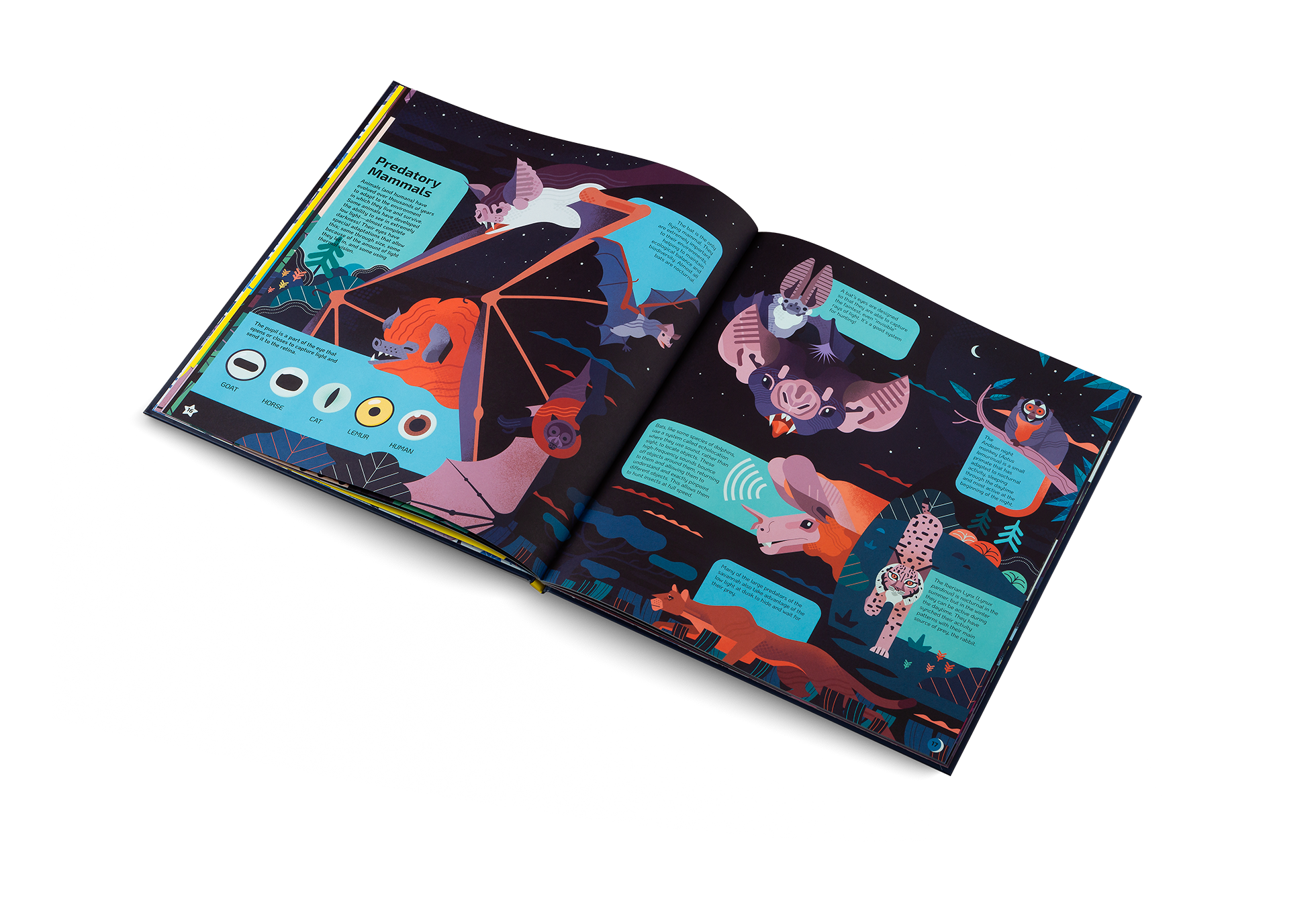 Gestalten Eu Shop-Nocturnal-Book-Black-Deal-Outlet-by-ARCHIVIST