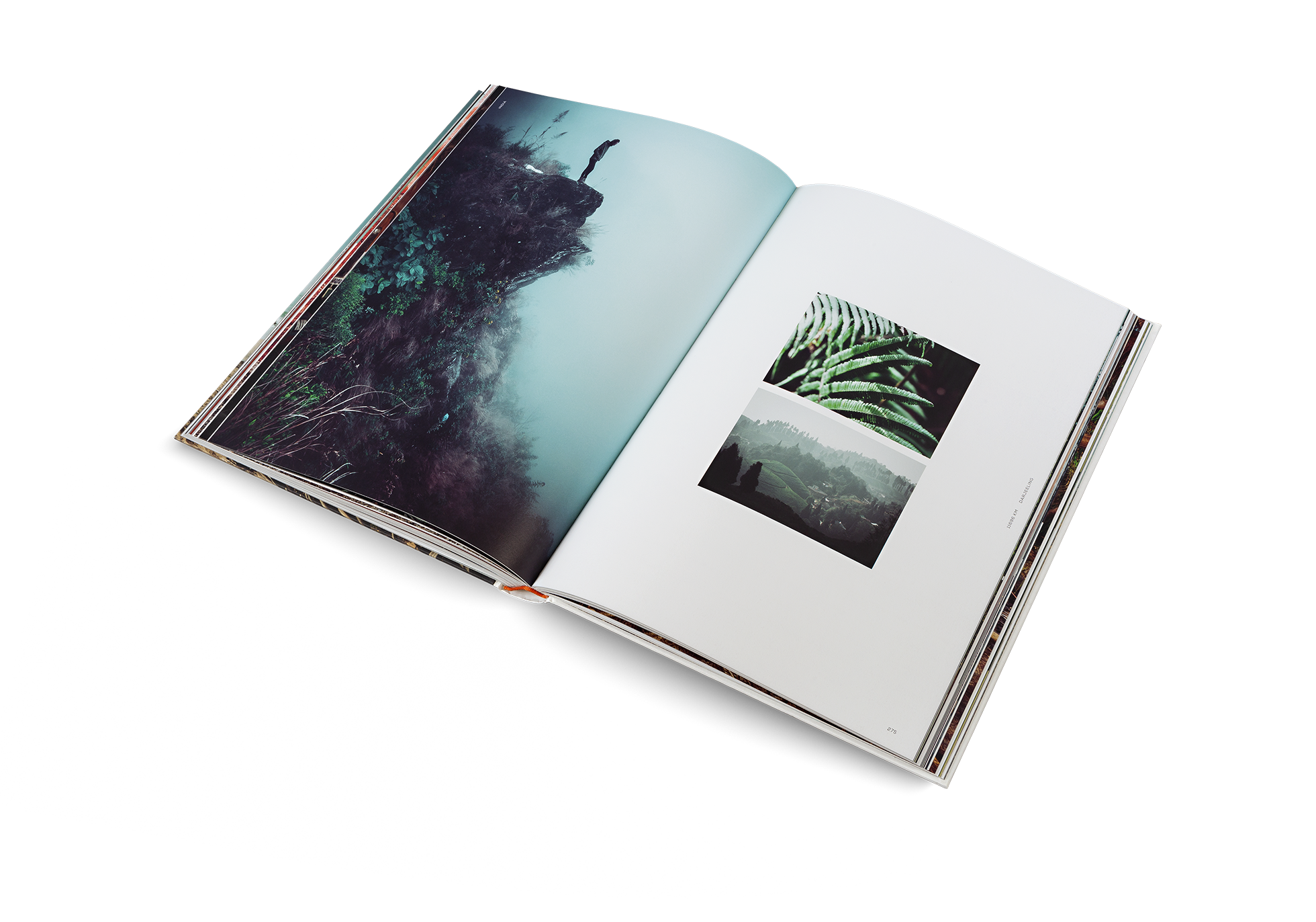 Gestalten Eu Shop-One Year on a Bike-Book-Black-Deal-Outlet-by-ARCHIVIST