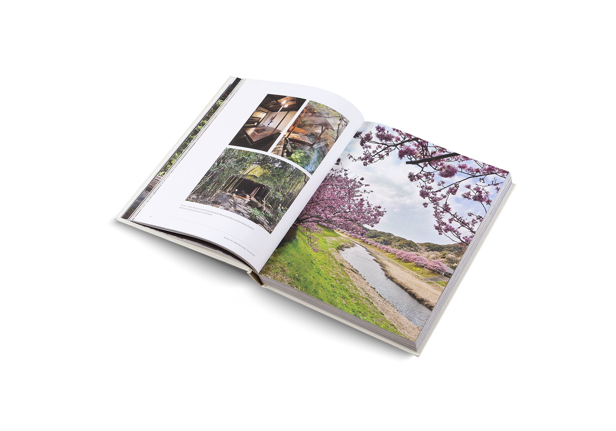 Gestalten Eu Shop-Onsen and Ryokan of Japan-Book-Black-Deal-Outlet-by-ARCHIVIST