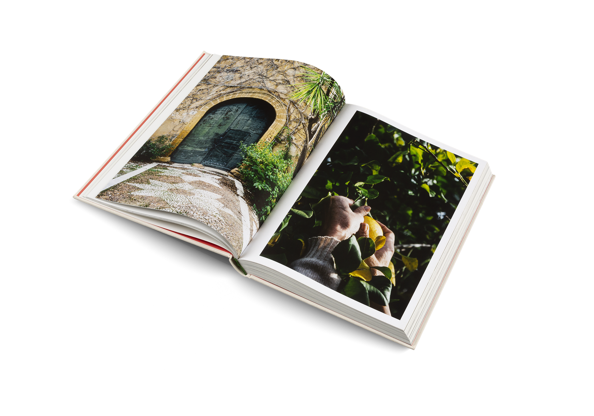 Gestalten Eu Shop-Originale-Book-Black-Deal-Outlet-by-ARCHIVIST