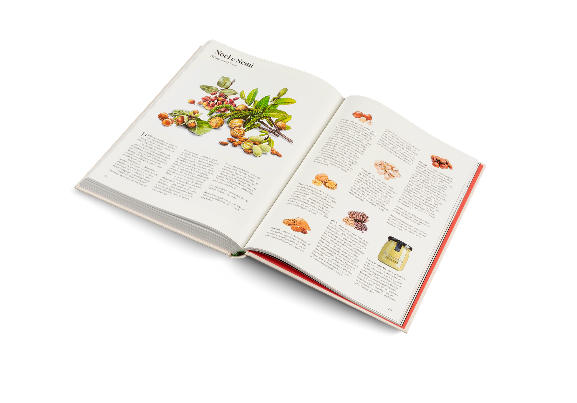 Gestalten Eu Shop-Originale-Book-Black-Deal-Outlet-by-ARCHIVIST