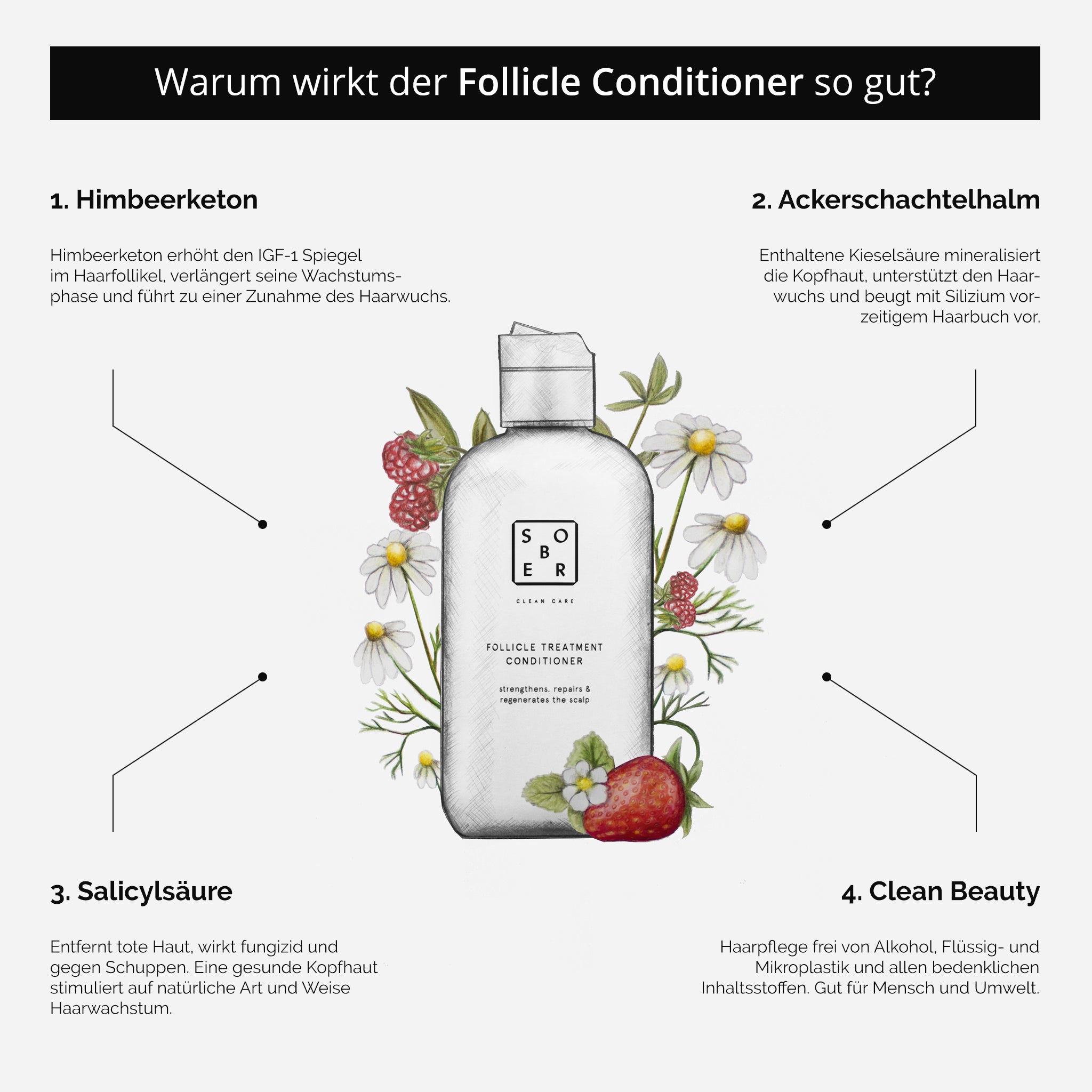 Sober-Follicle Treatment Conditioner Anti-Haarausfall Kur-Conditioner-Black-Deal-Outlet-by-ARCHIVIST
