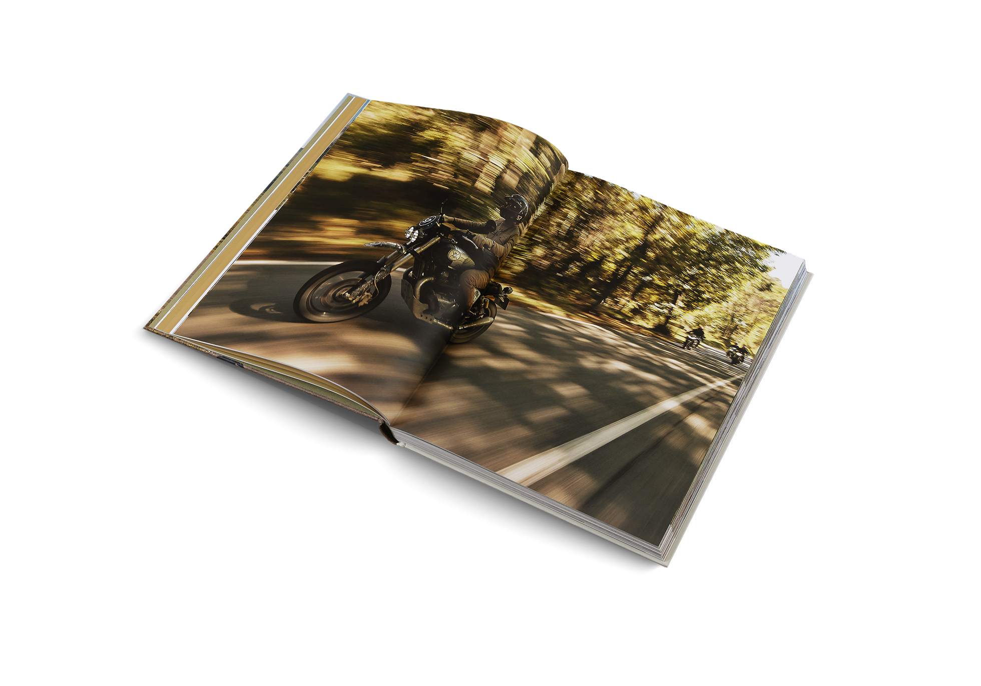 Gestalten Eu Shop-Riding In The Wild-Book-Black-Deal-Outlet-by-ARCHIVIST
