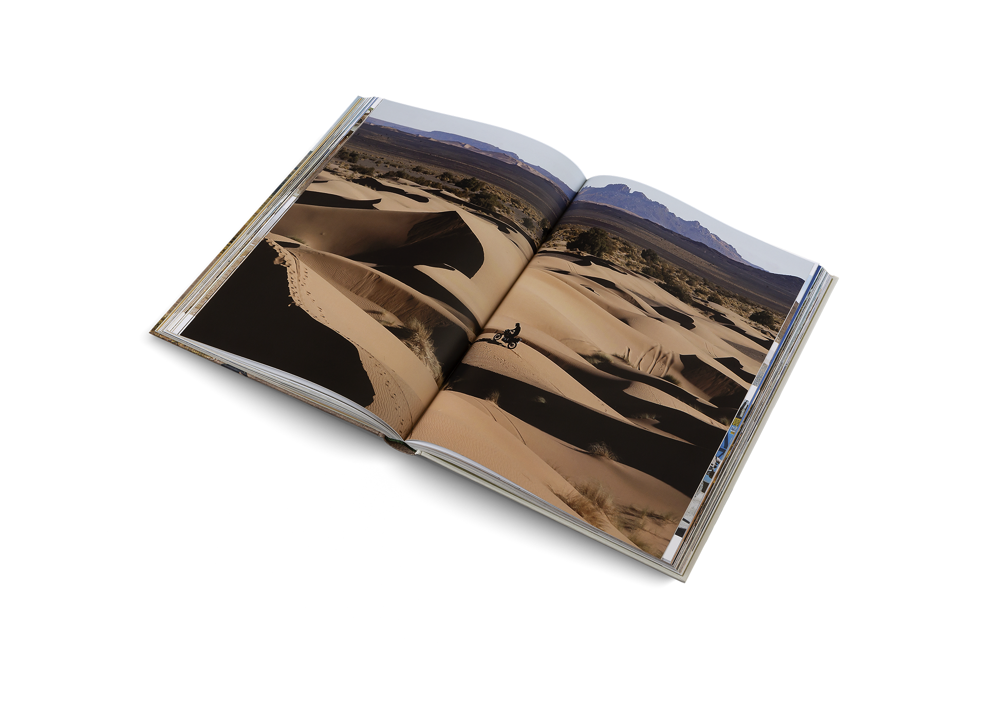 Gestalten Eu Shop-Riding In The Wild-Book-Black-Deal-Outlet-by-ARCHIVIST