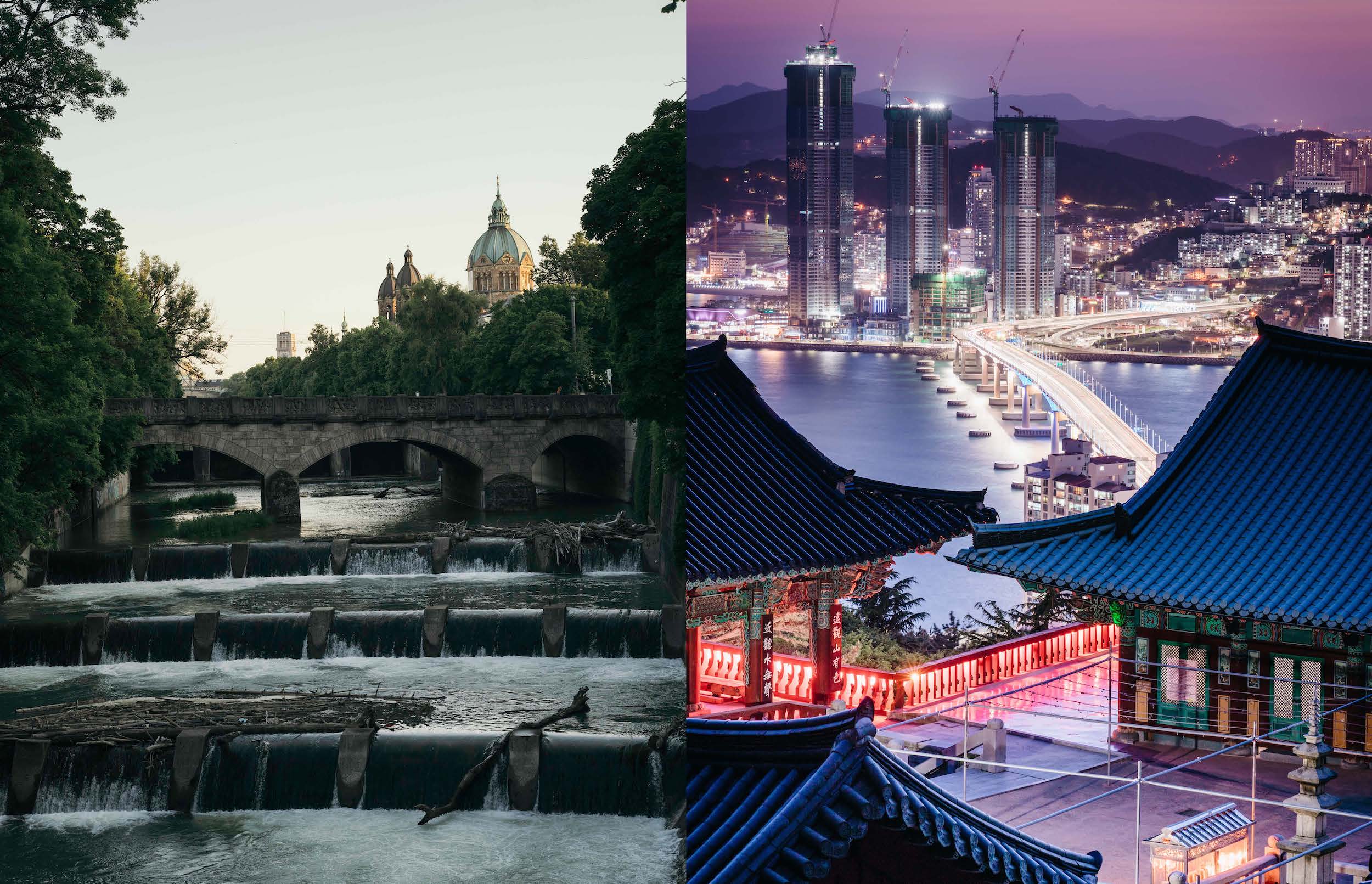 Gestalten Eu Shop-Roots and Wings-Book-Black-Deal-Outlet-by-ARCHIVIST