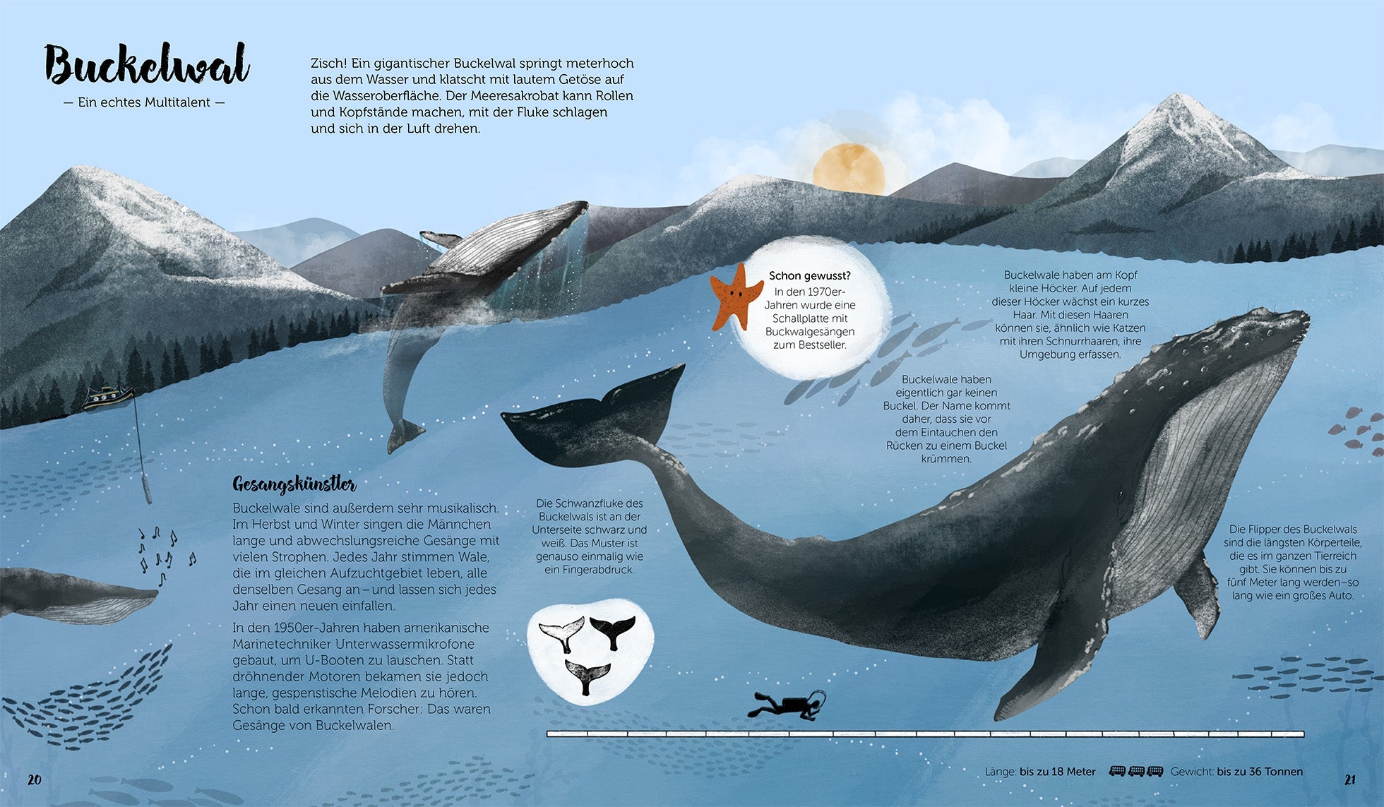 Gestalten Eu Shop-Die Welt der Wale-Book-Black-Deal-Outlet-by-ARCHIVIST