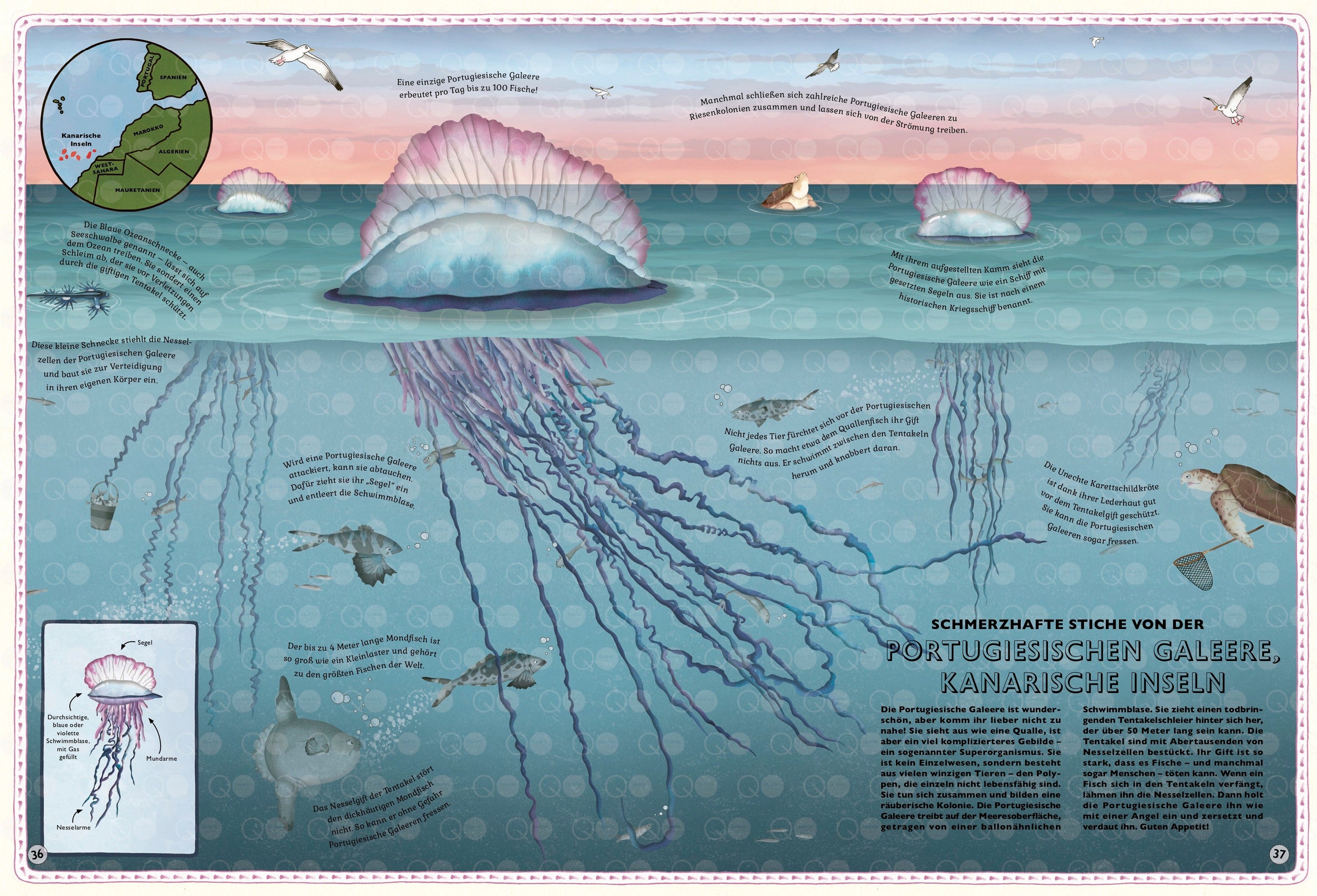 Gestalten Eu Shop-Der Atlas der Ozeane-Book-Black-Deal-Outlet-by-ARCHIVIST