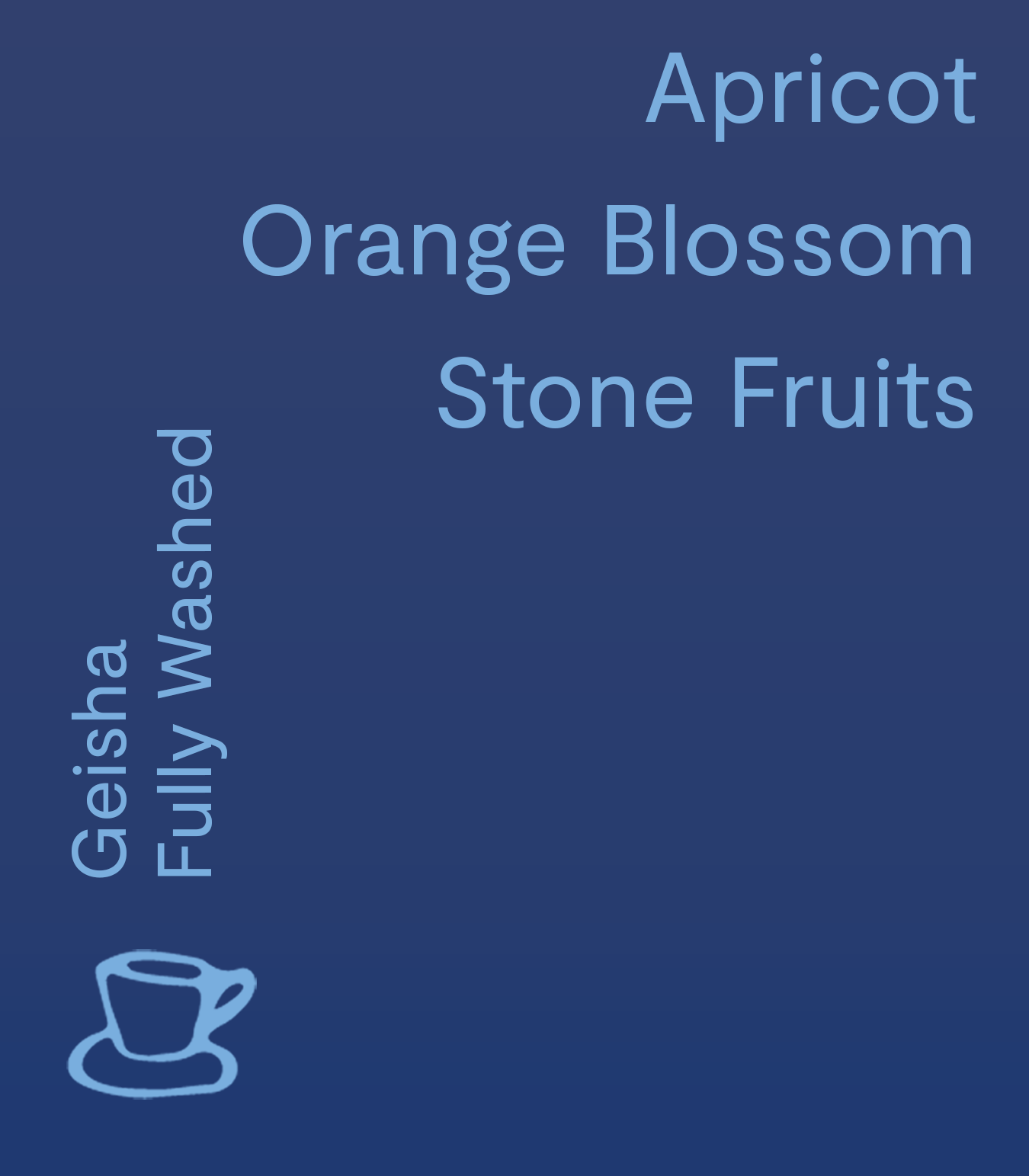 Father Carpenter-Finca Santa Elisa - Limited Edition-Coffee Beans-Black-Deal-Outlet-by-ARCHIVIST