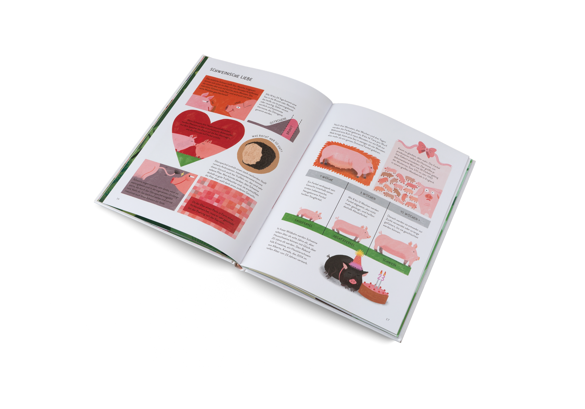 Gestalten Eu Shop-Schwein gehabt!-Book-Black-Deal-Outlet-by-ARCHIVIST