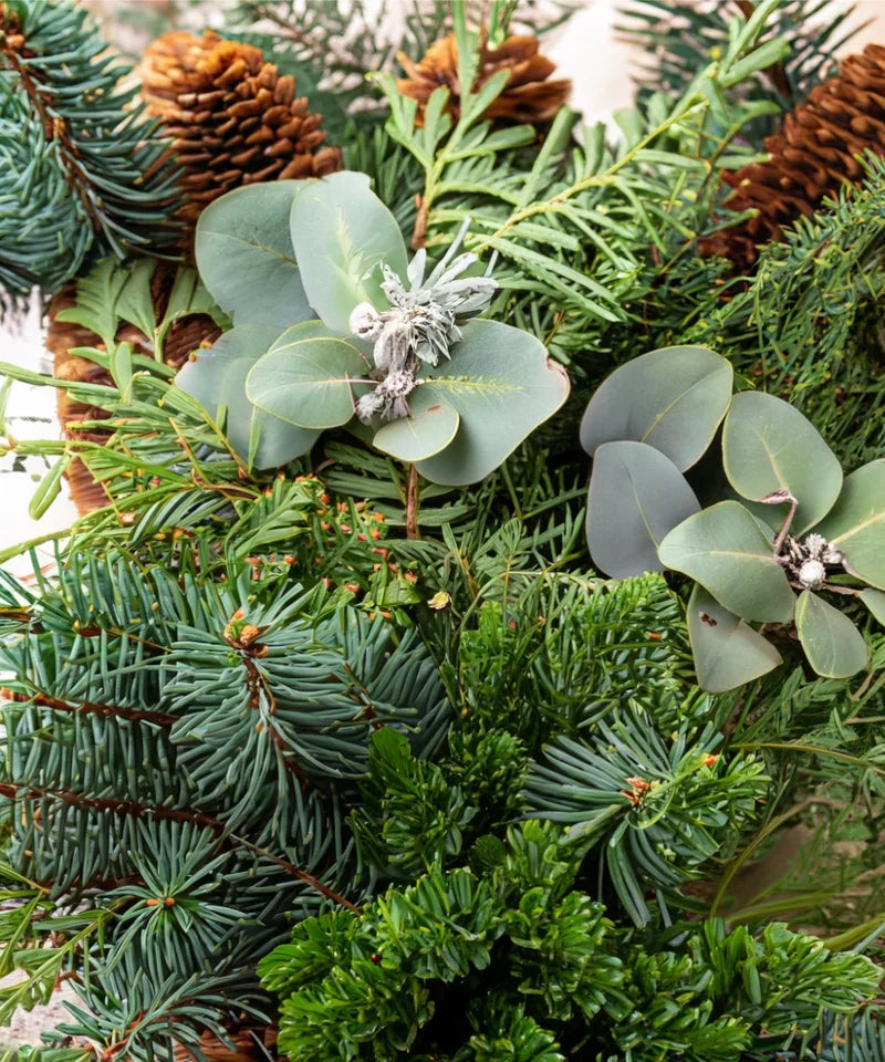 Verdancia-Bio ätherische Öl - „Shinrin Yoku“ – Waldduft für natürliche Entspannung-Autoduft-Black-Deal-Outlet-by-ARCHIVIST