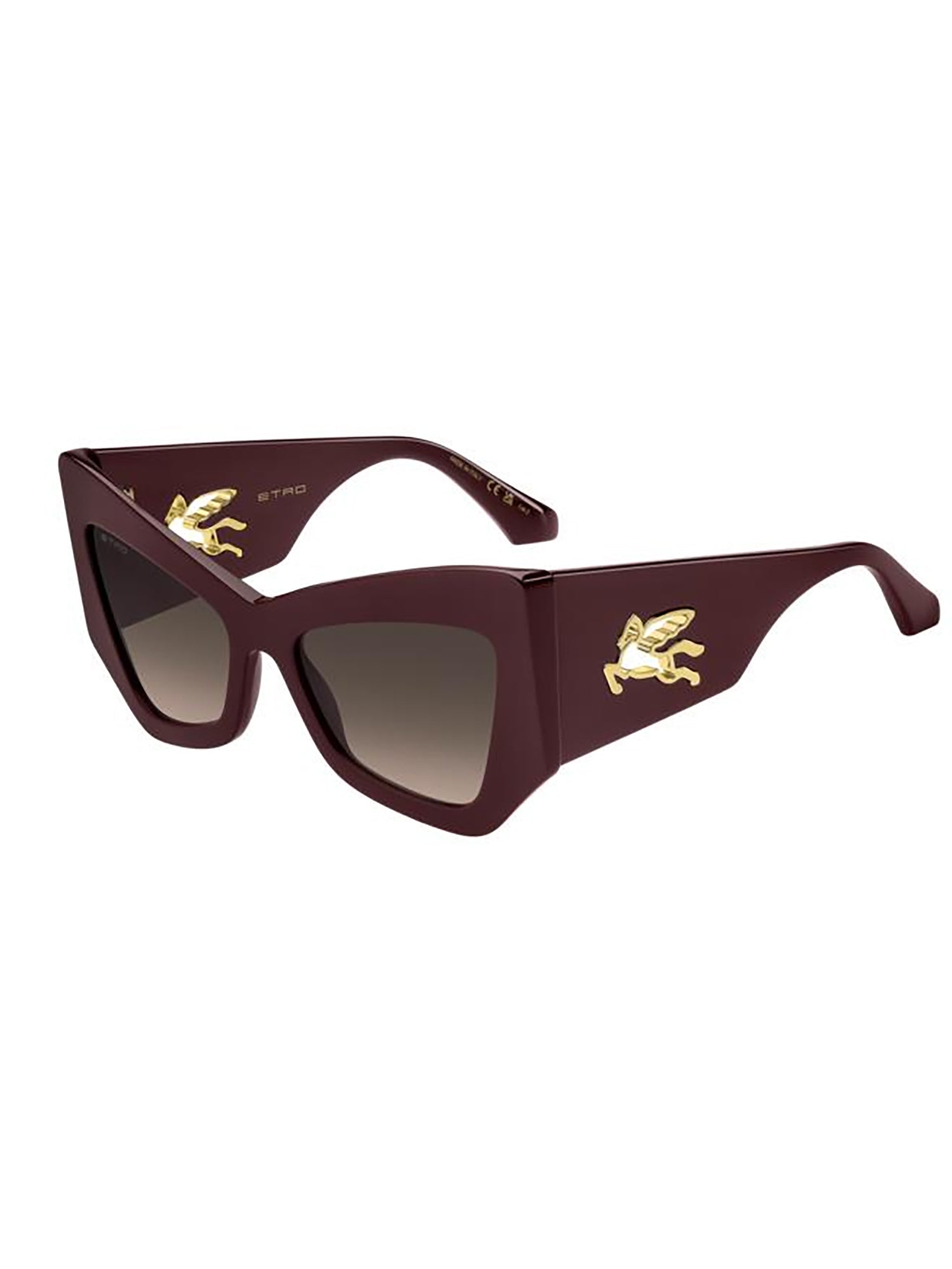 ETRO-OUTLET-SALE-Sunglasses BRAUN-ARCHIVIST