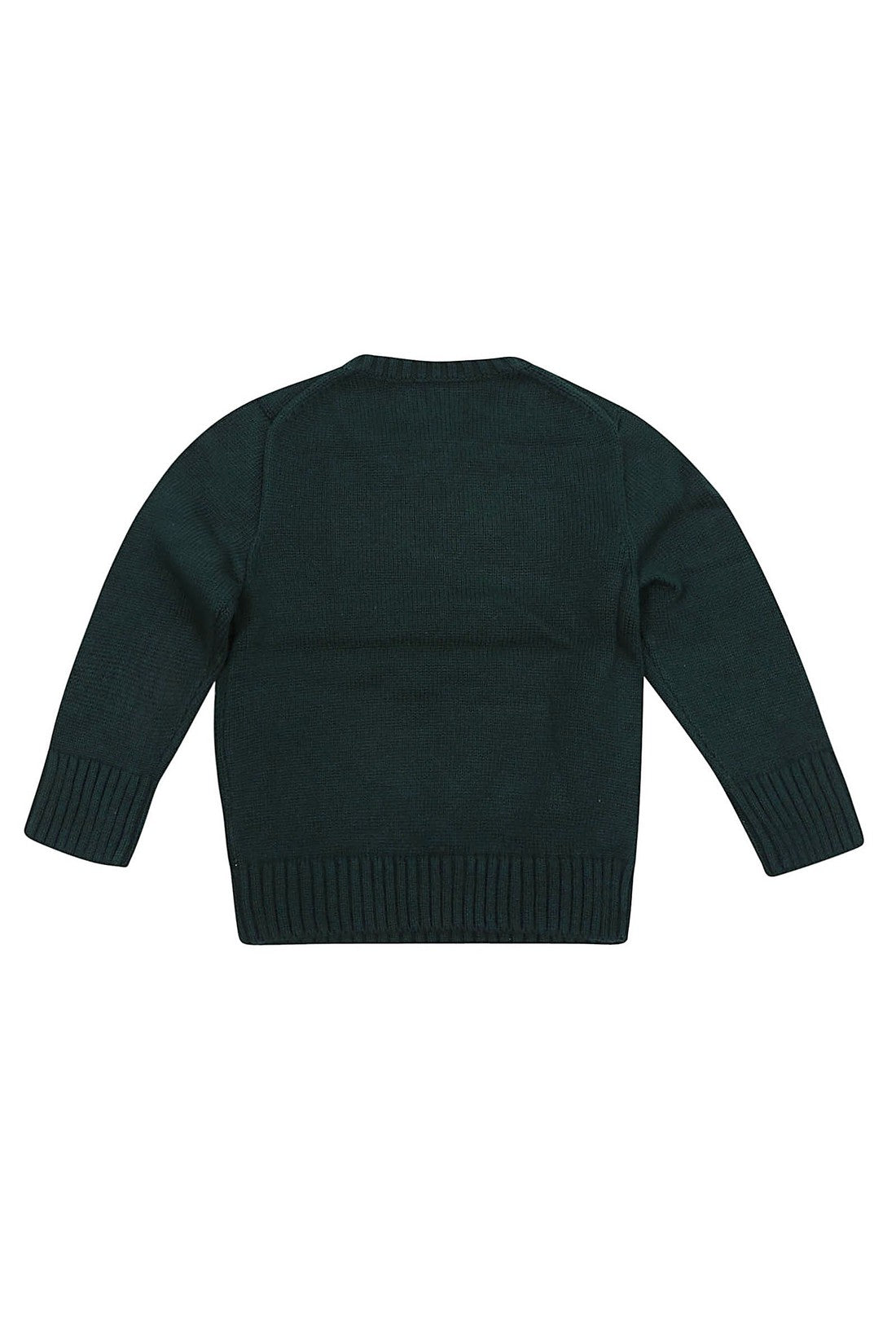 Ralph Lauren Kids-OUTLET-SALE-Sweater GRÜN-ARCHIVIST