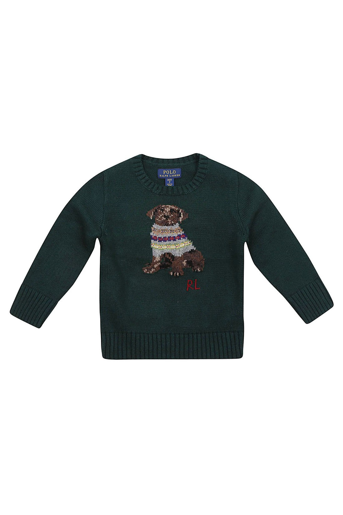 Ralph Lauren Kids-OUTLET-SALE-Sweater GRÜN-ARCHIVIST