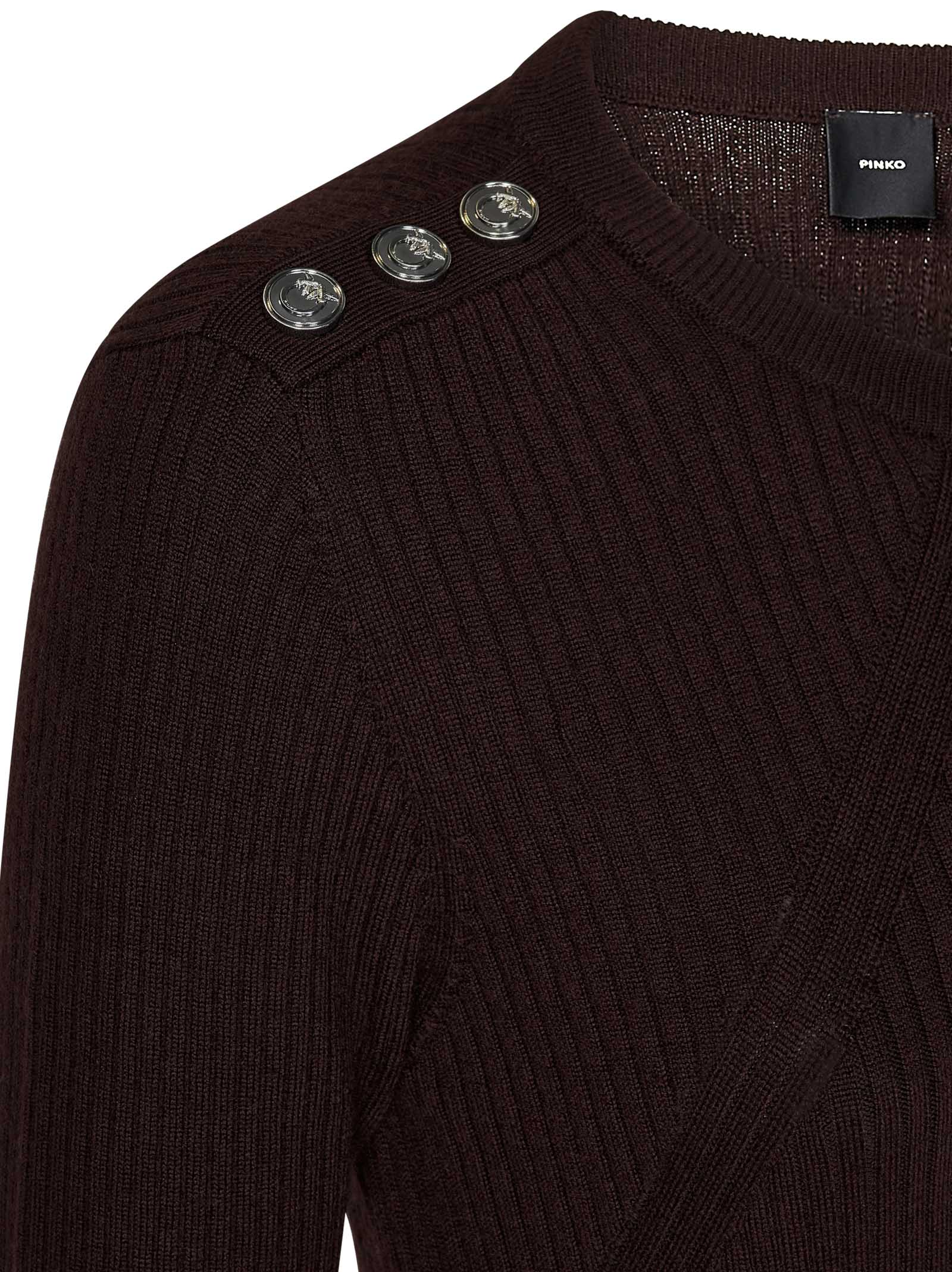 PINKO-OUTLET-SALE-Sweatshirts BRAUN-ARCHIVIST