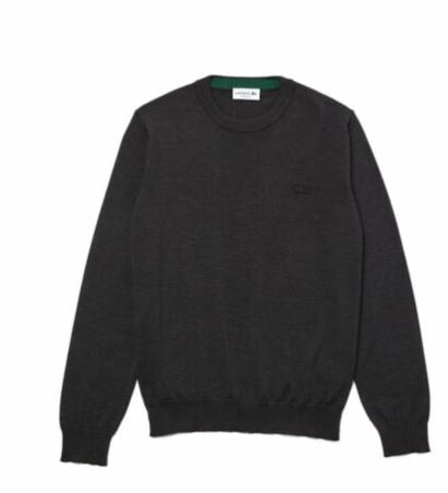 LACOSTE-OUTLET-SALE-Sweatshirts GRAU-ARCHIVIST