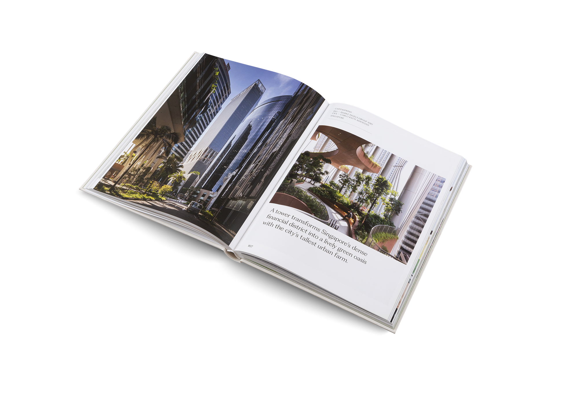 Gestalten Eu Shop-The House of Green-Book-Black-Deal-Outlet-by-ARCHIVIST