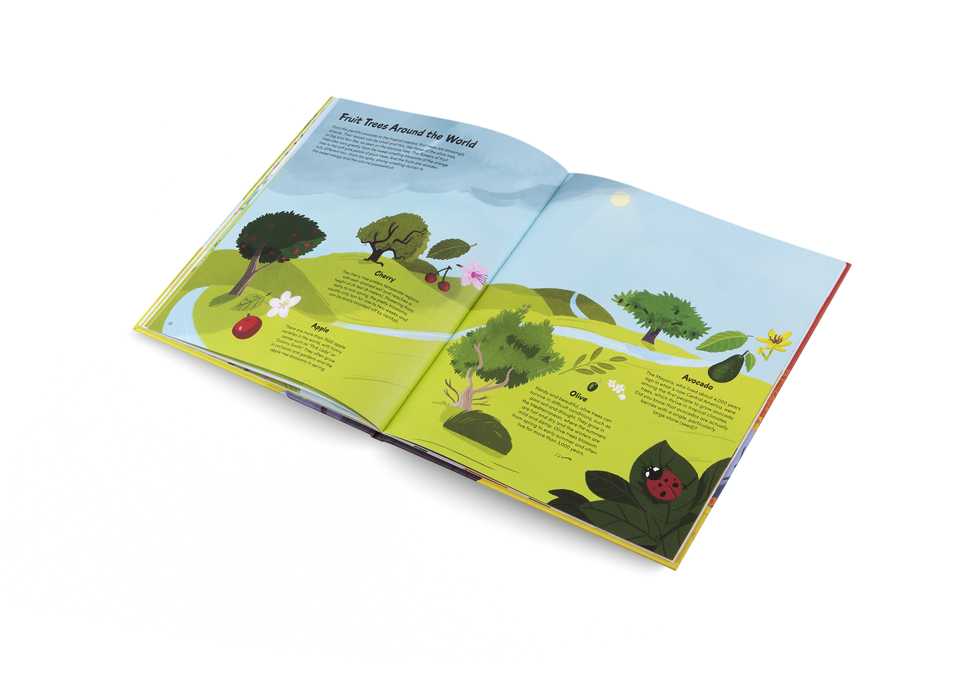 Gestalten Eu Shop-The Little Book of Trees-Book-Black-Deal-Outlet-by-ARCHIVIST