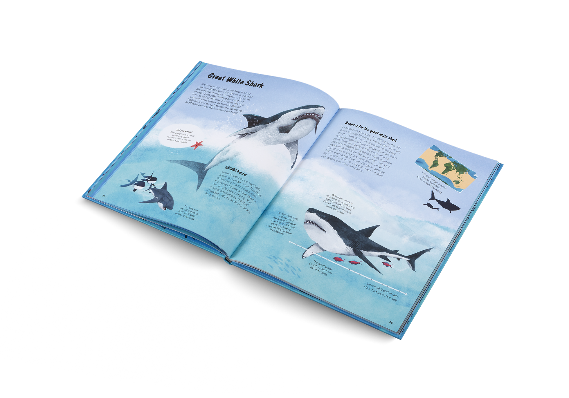 Gestalten Eu Shop-The World of Sharks-Book-Black-Deal-Outlet-by-ARCHIVIST