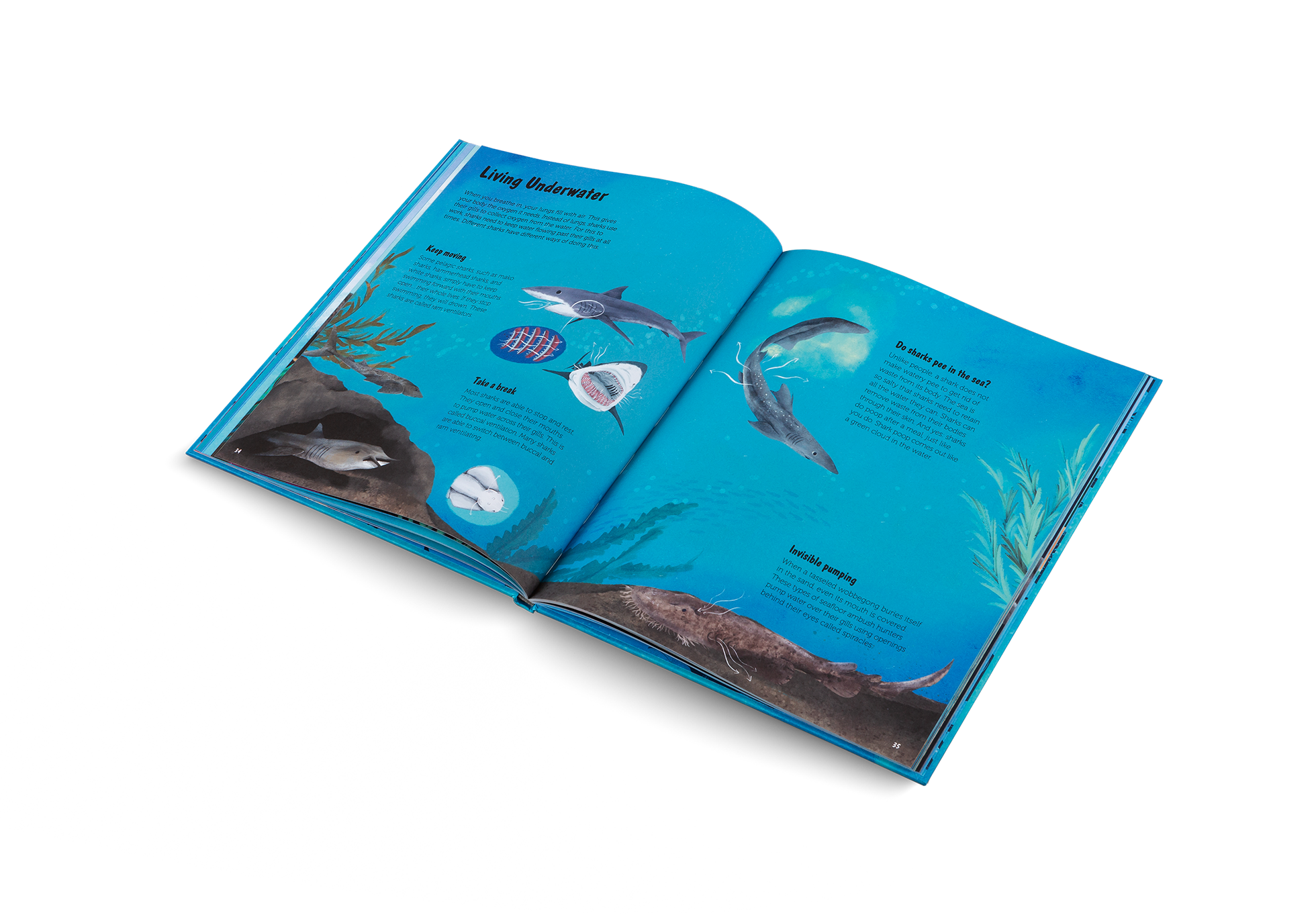 Gestalten Eu Shop-The World of Sharks-Book-Black-Deal-Outlet-by-ARCHIVIST