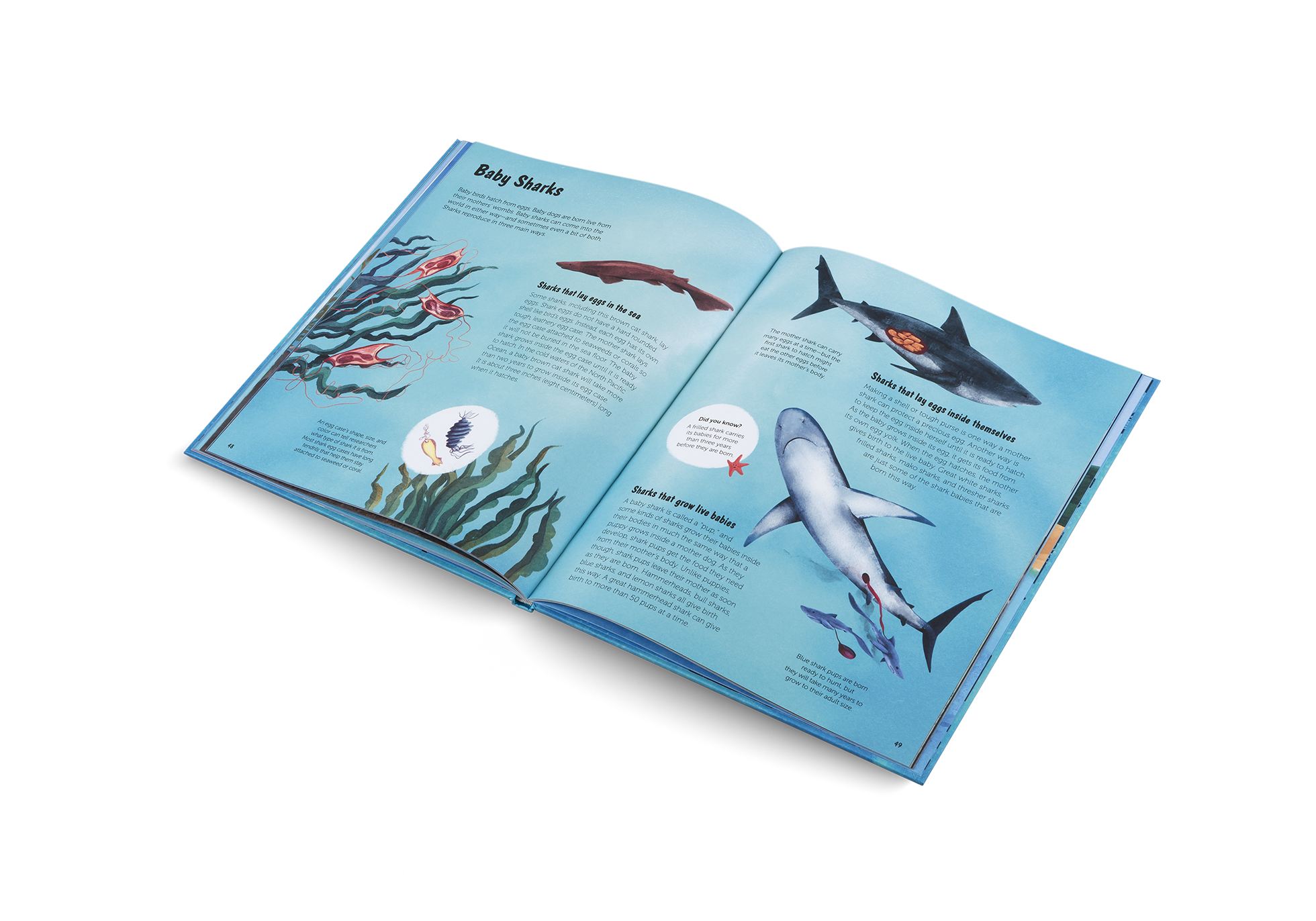 Gestalten Eu Shop-The World of Sharks-Book-Black-Deal-Outlet-by-ARCHIVIST
