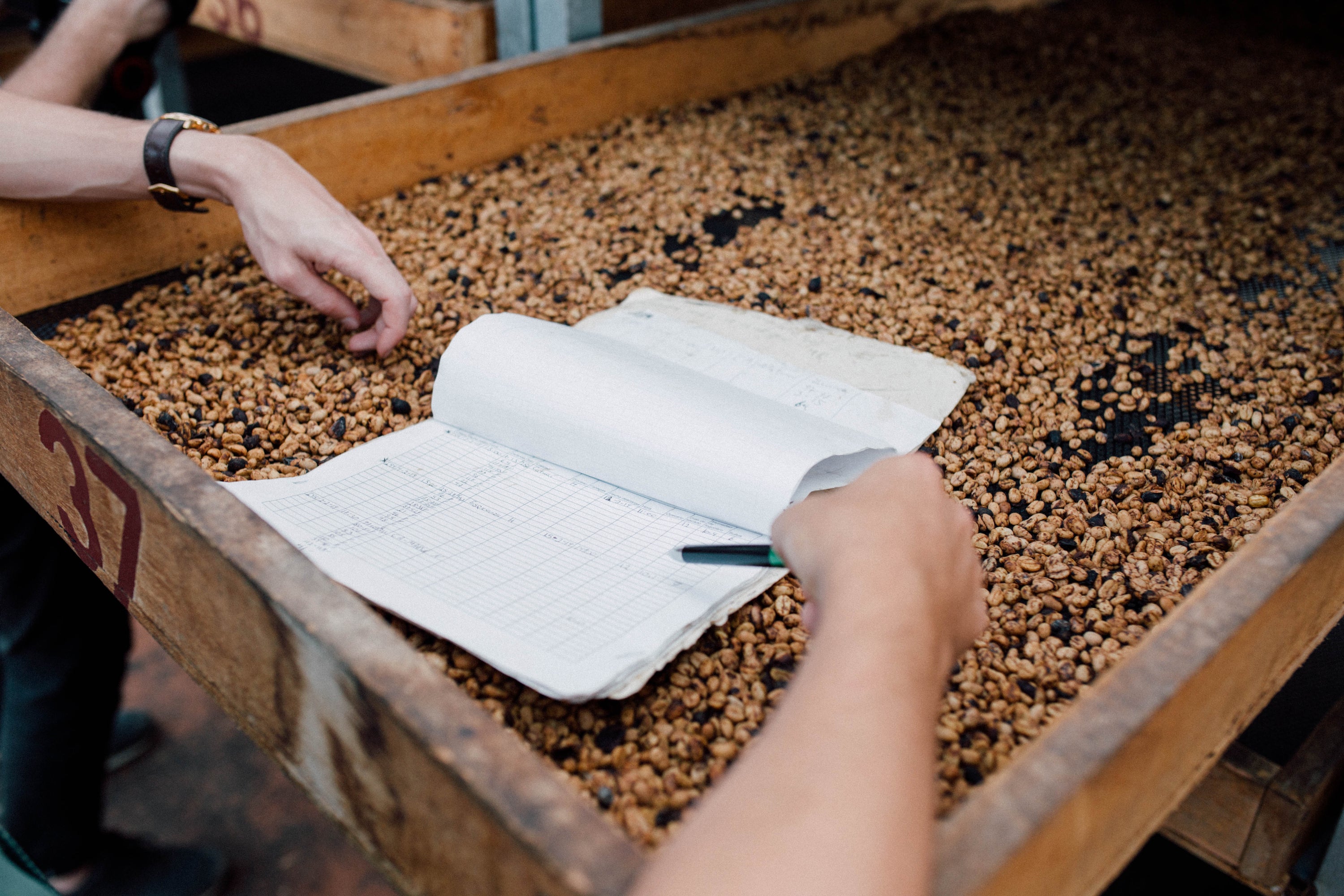 Paso Paso - Farmer Owned Coffee-Costa Rica - Diego Robelo - Centroamericano Anaerobic Natural-Black-Deal-Outlet-by-ARCHIVIST