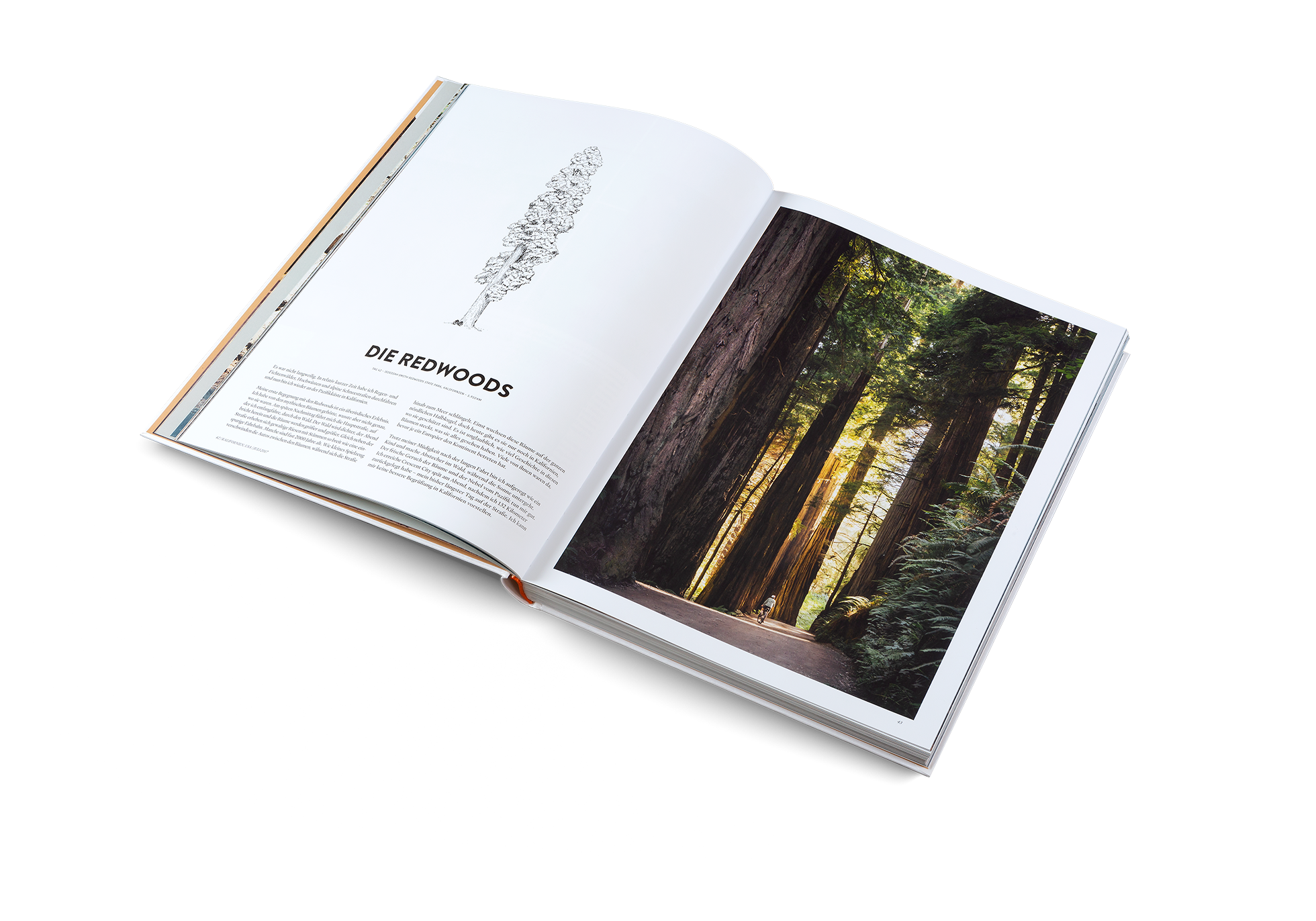 Gestalten Eu Shop-Two Years On A Bike-Book-Black-Deal-Outlet-by-ARCHIVIST