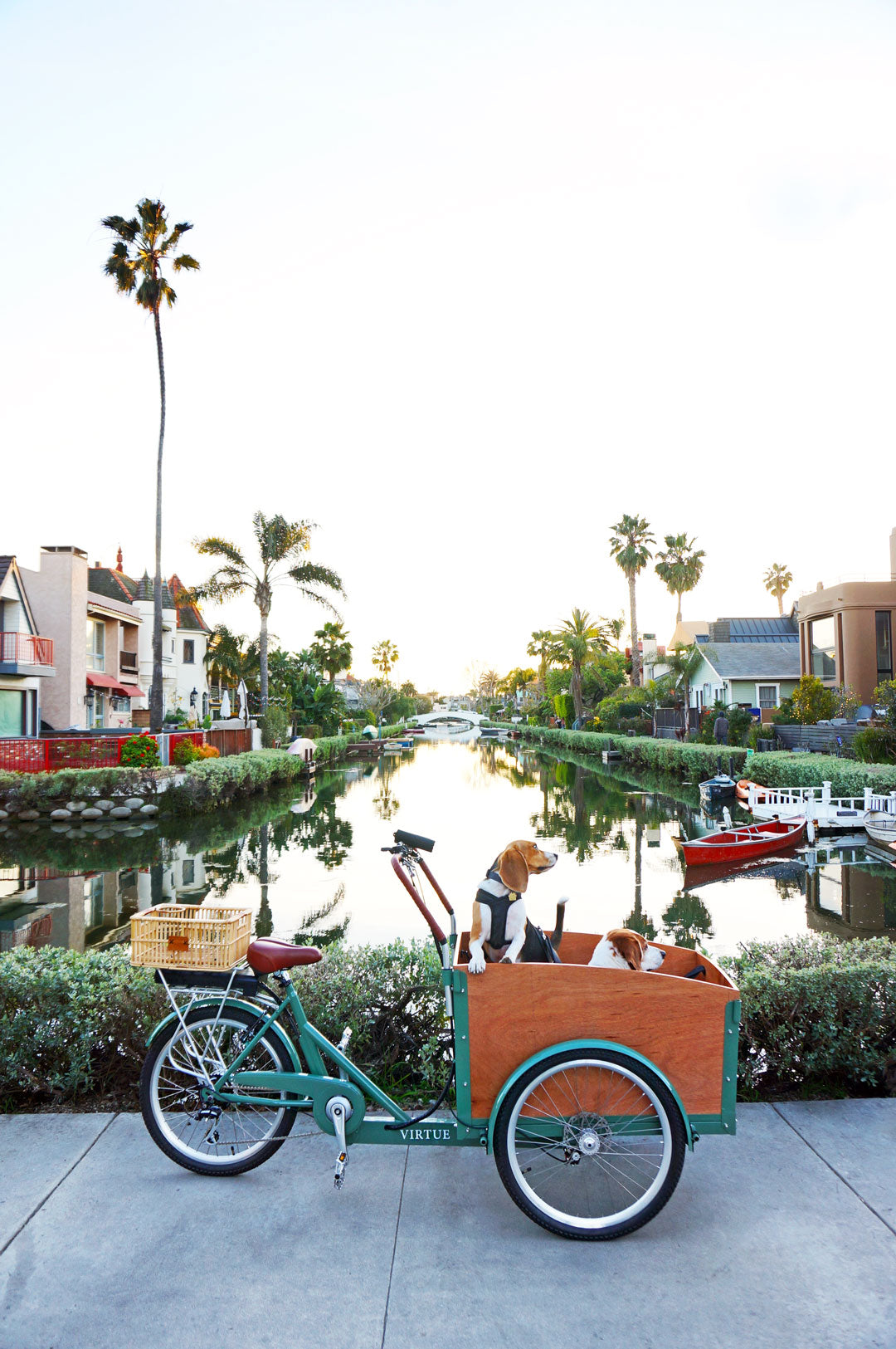 Gestalten Eu Shop-Velo City-Book-Black-Deal-Outlet-by-ARCHIVIST