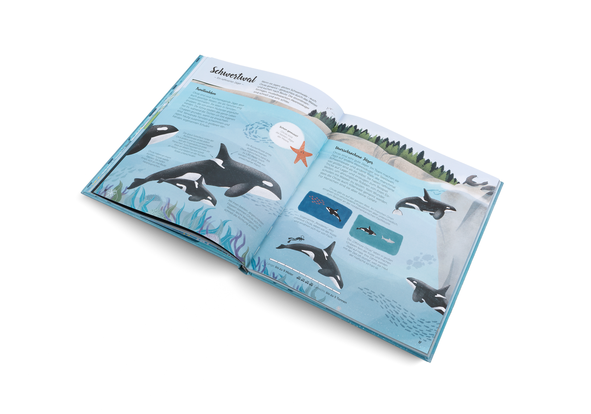 Gestalten Eu Shop-Die Welt der Wale-Book-Black-Deal-Outlet-by-ARCHIVIST