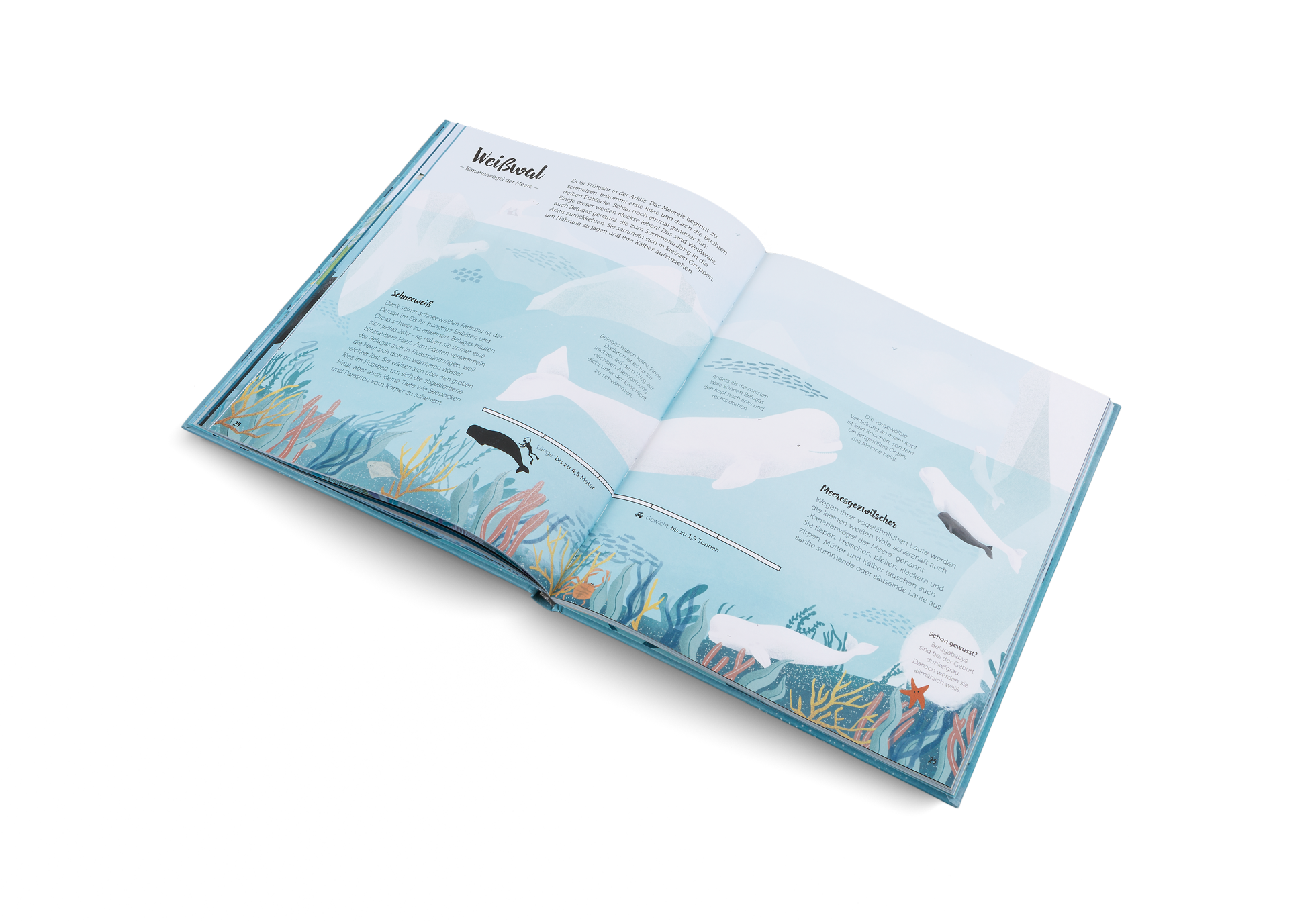 Gestalten Eu Shop-Die Welt der Wale-Book-Black-Deal-Outlet-by-ARCHIVIST