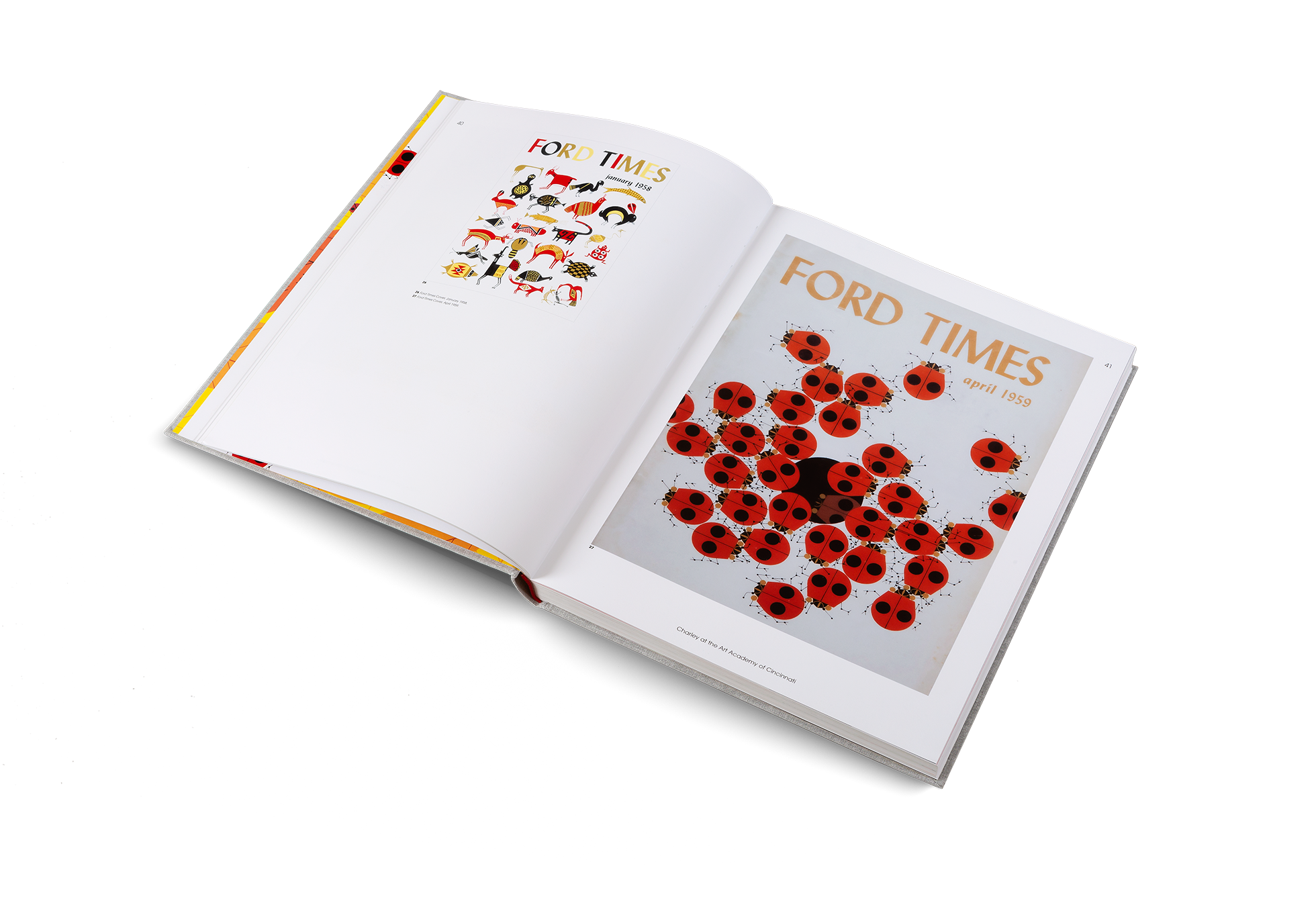 Gestalten Eu Shop-Wild Life-Book-Black-Deal-Outlet-by-ARCHIVIST