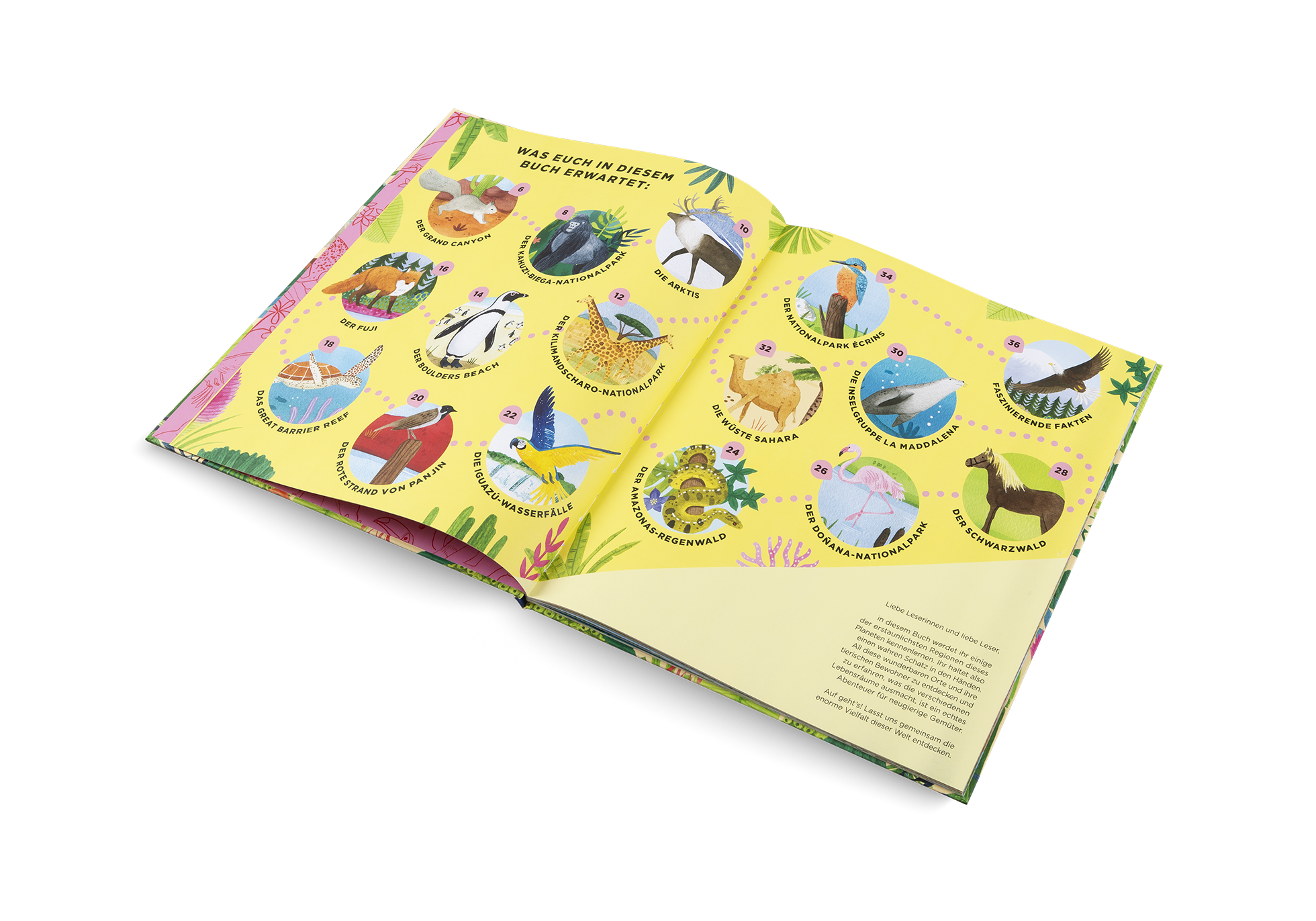 Gestalten Eu Shop-Wo die wilden Tiere leben-Book-Black-Deal-Outlet-by-ARCHIVIST