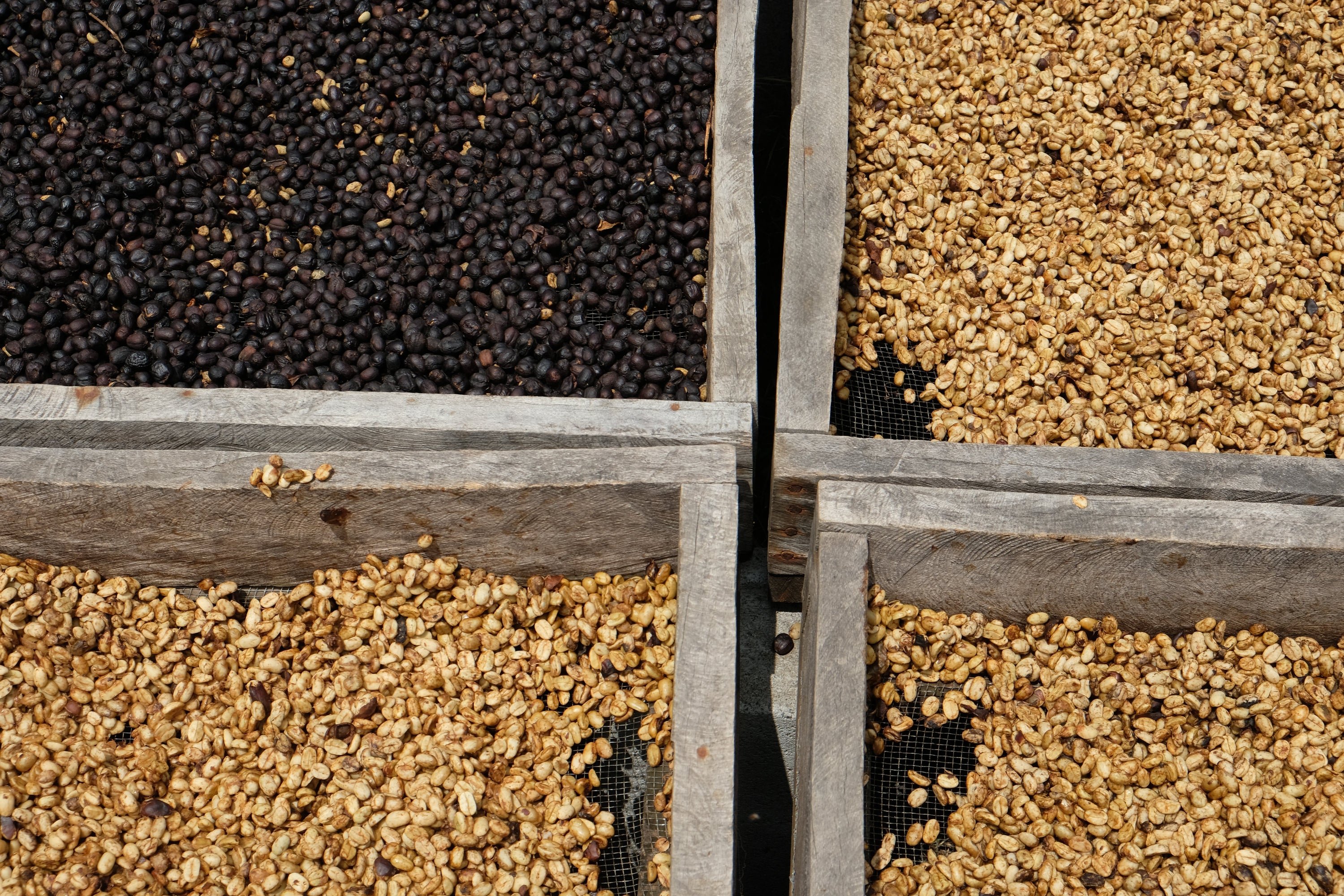 Paso Paso - Farmer Owned Coffee-Corazón Oscuro - Dark Roast Blend-Black-Deal-Outlet-by-ARCHIVIST