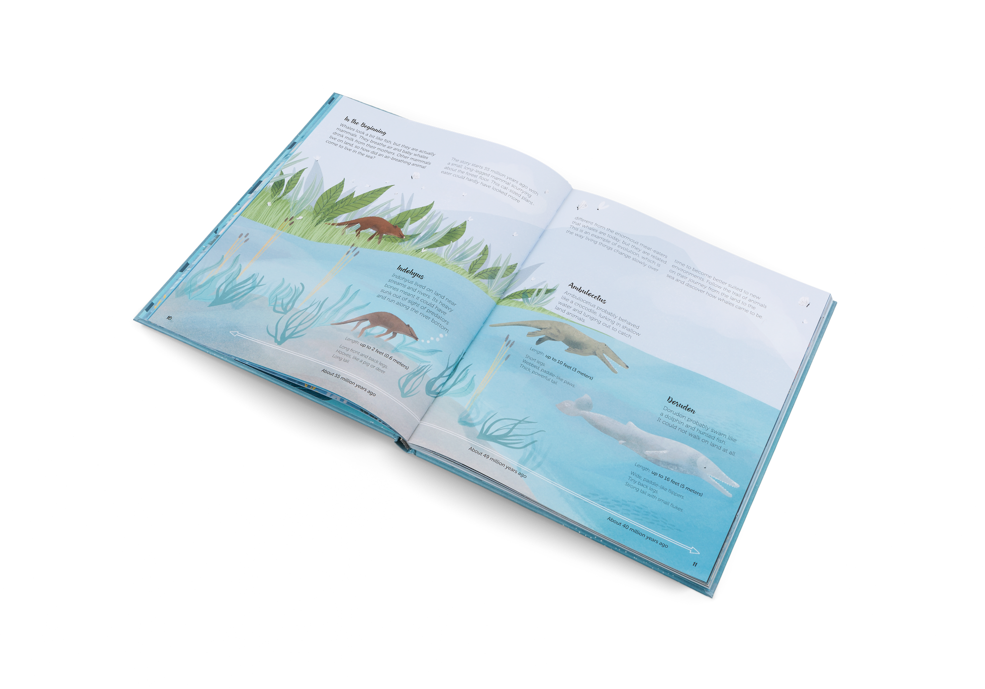 Gestalten Eu Shop-The World of Whales-Book-Black-Deal-Outlet-by-ARCHIVIST